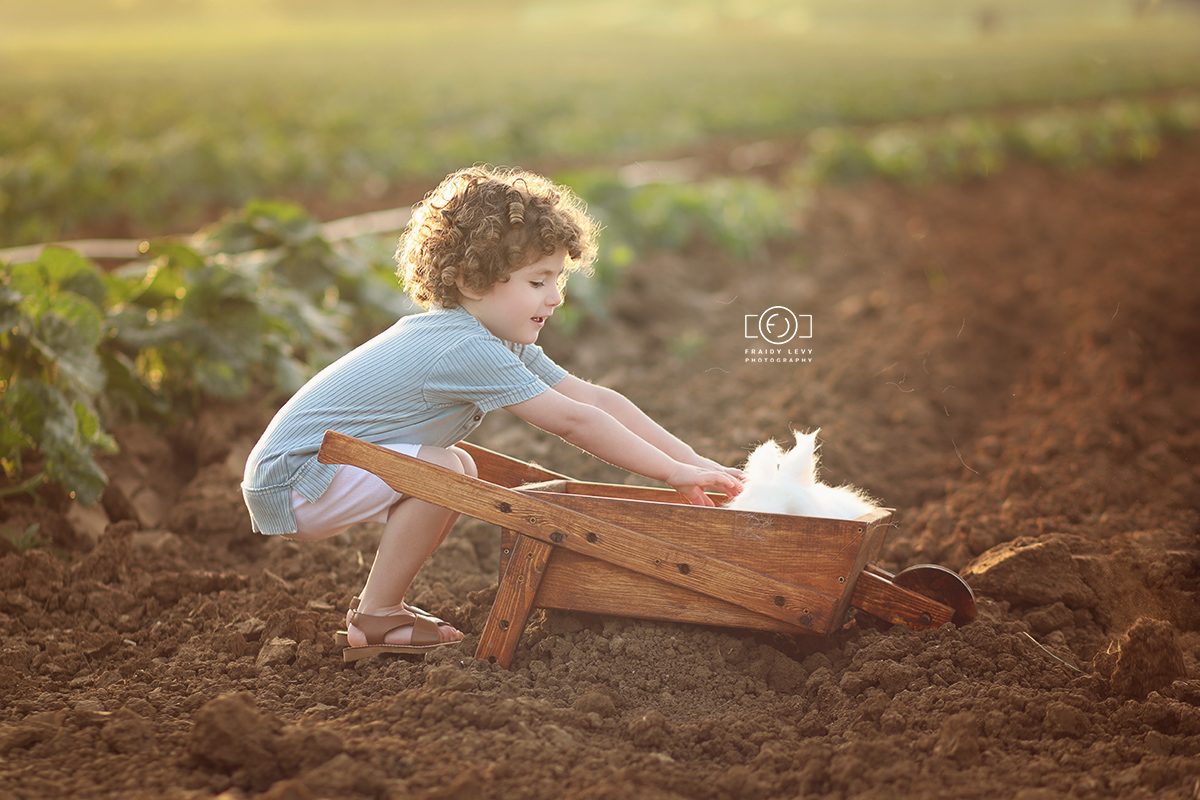 0A6A8873 מעובד מוקטן.jpg