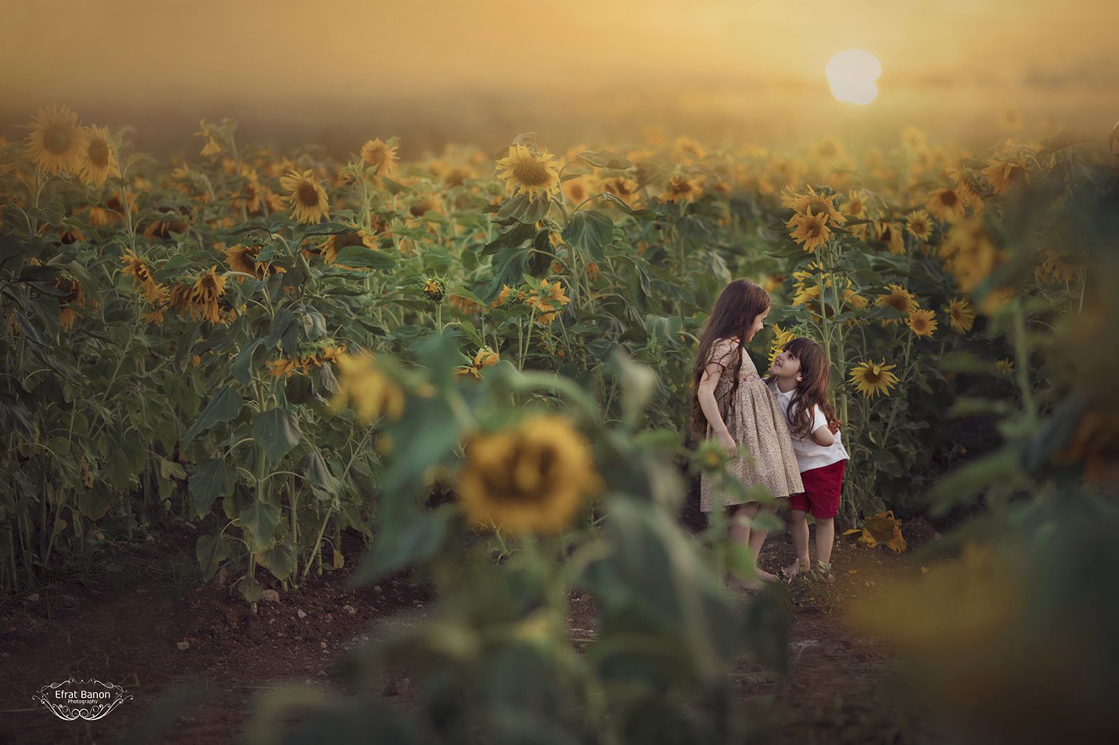 0E1Aמנ941לעלות מוארא מחודדמוקטן.jpg