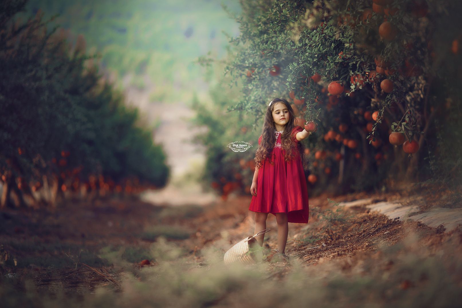 0E1A0008עיבוד אחרוןלמוקטן.jpg