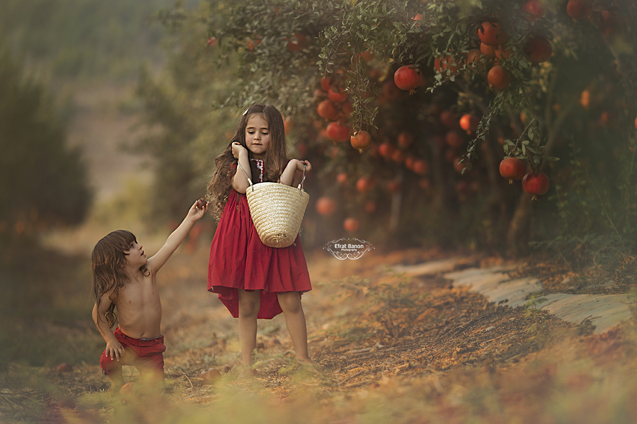 0E1A0021מ22סאיכות נמוכה.jpg