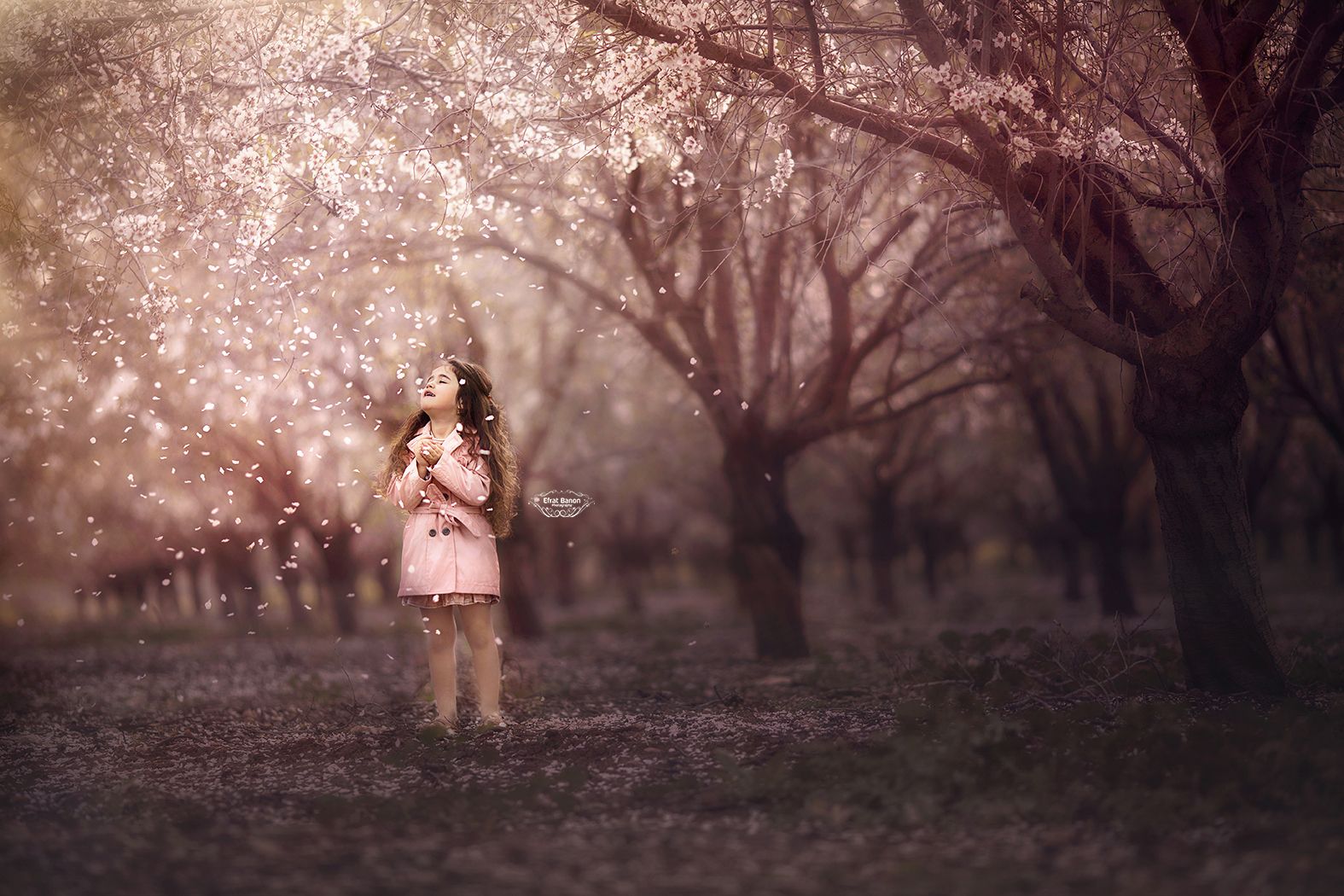 0E1A0559מאחרןיויי1למוקטןמוארולא ברגלים.jpg