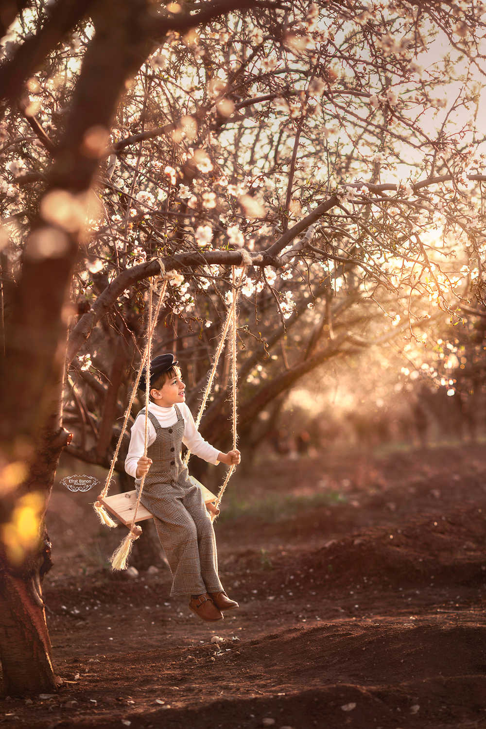 0E1A5215-Recovered מוקט.JPG