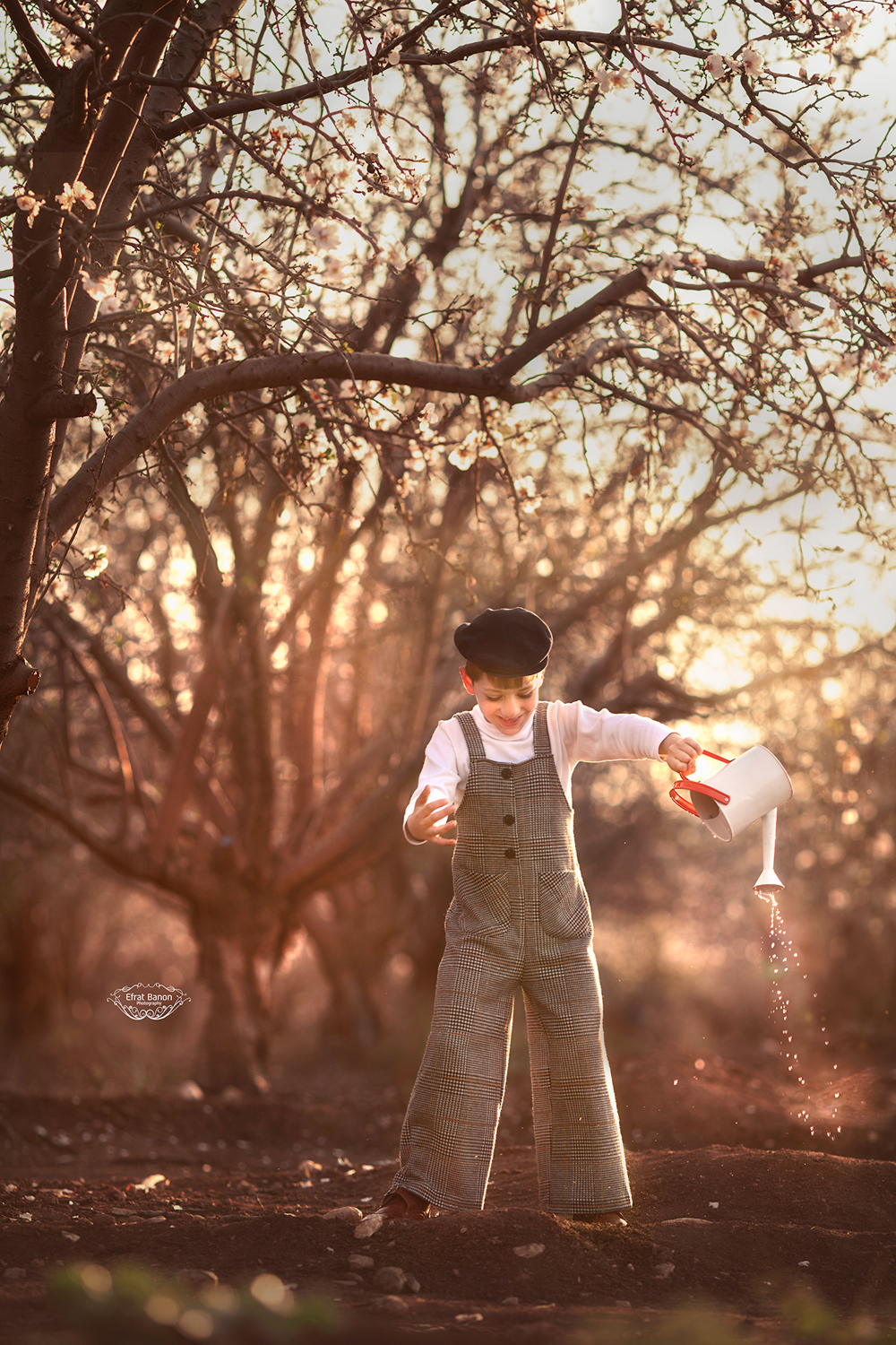 0E1A5260 מוקט.JPG