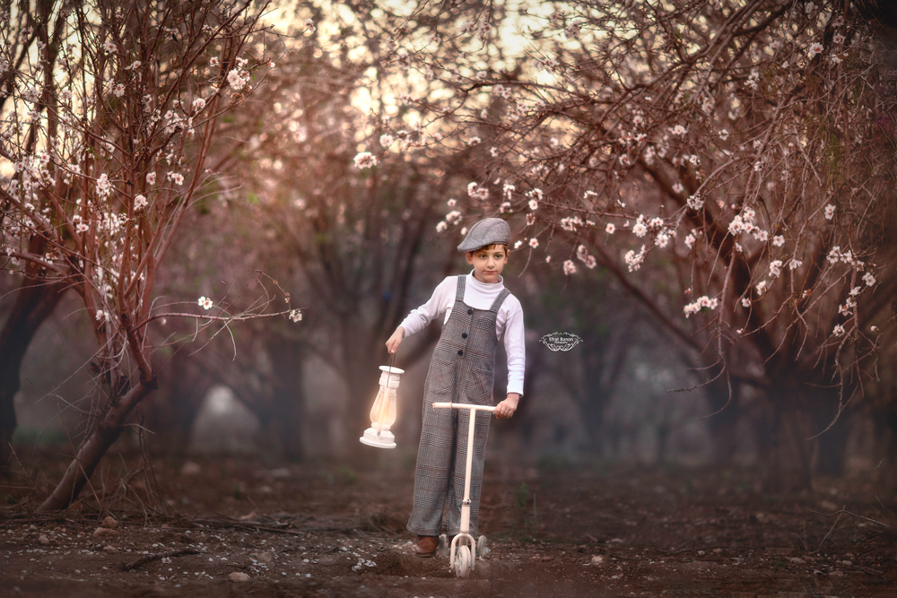 0E1A5609מעלה סופילעלו מוקט.JPG