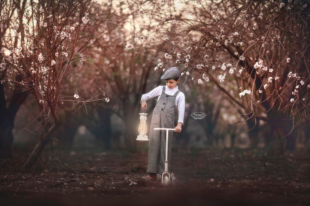 0E1A5613עלעלותךוגו2 מוקט.JPG