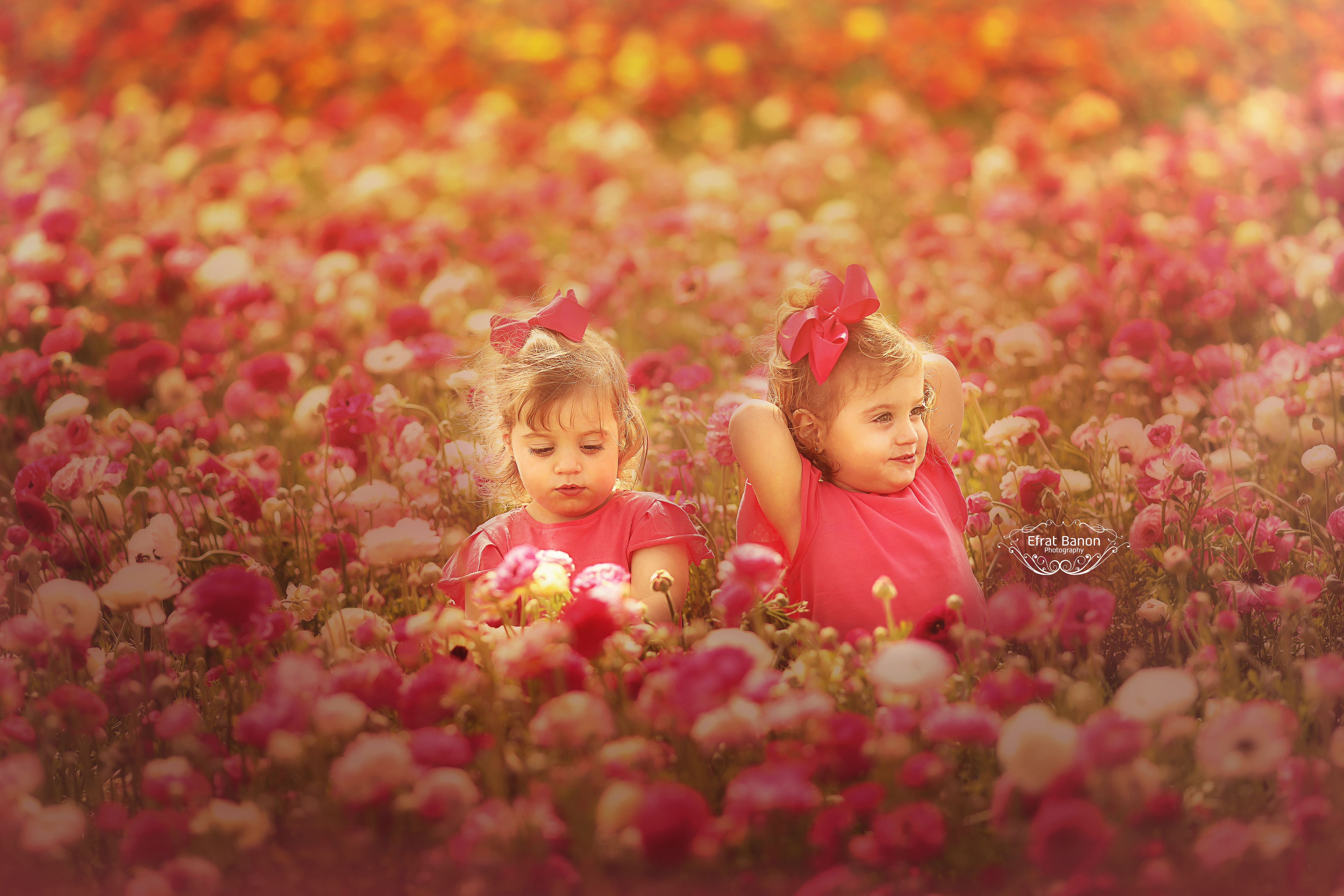 0E1A9078nלוגומוקמןוארפחות צהוב.jpg