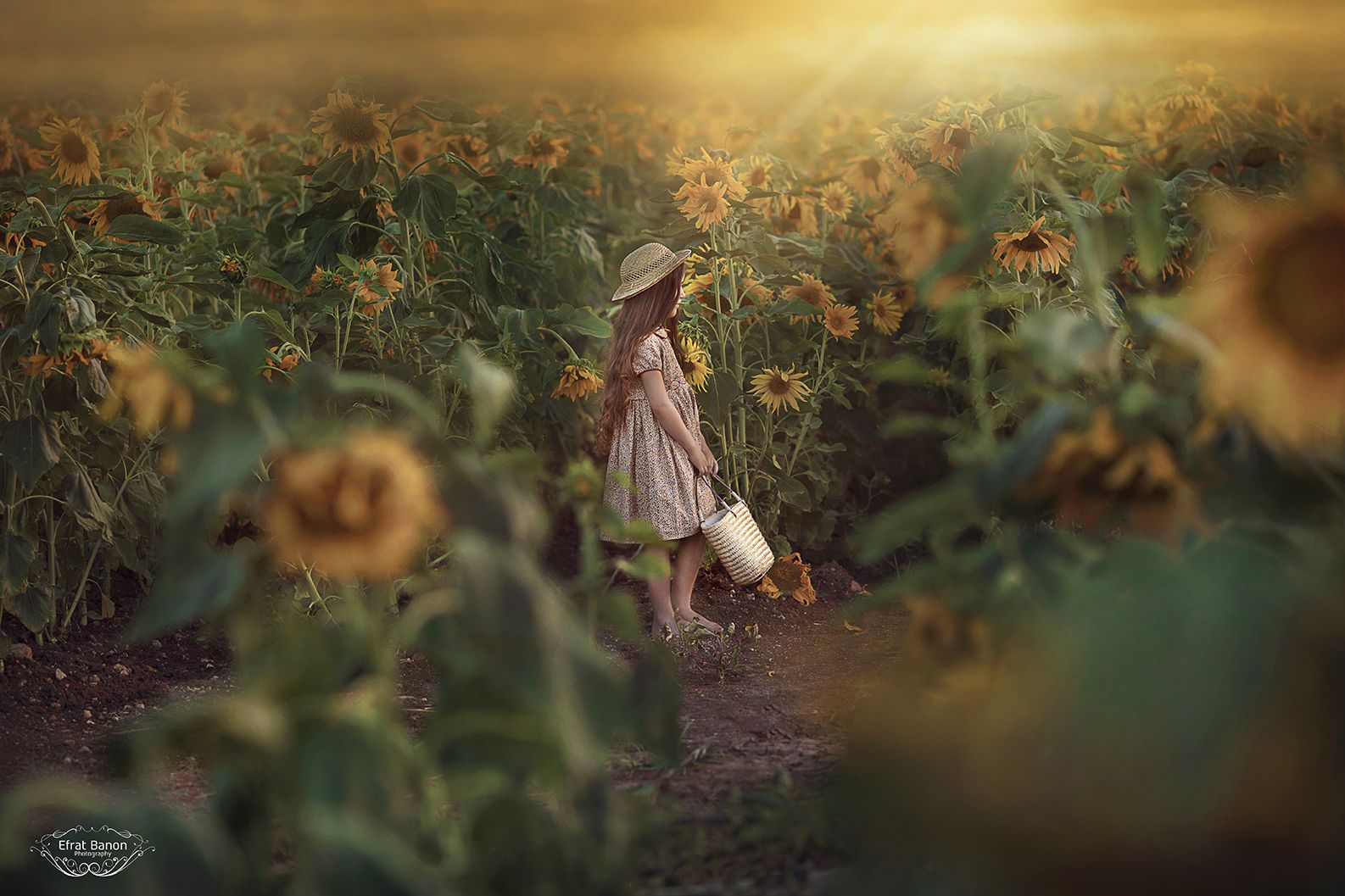 0E1A9369שבלי צינורמסופילשמשמוקטן.jpg