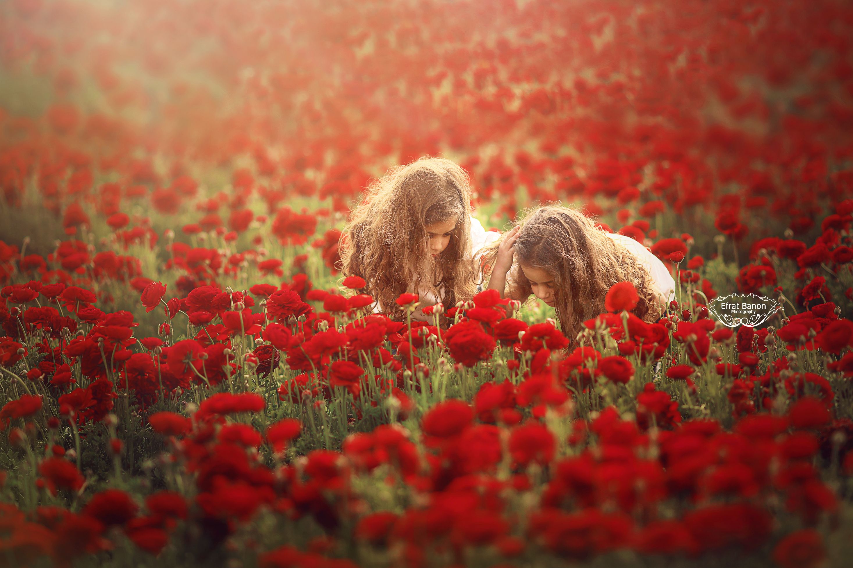 0E1A93712 (1)ממאשמשאחרוןלמוקטן.jpg