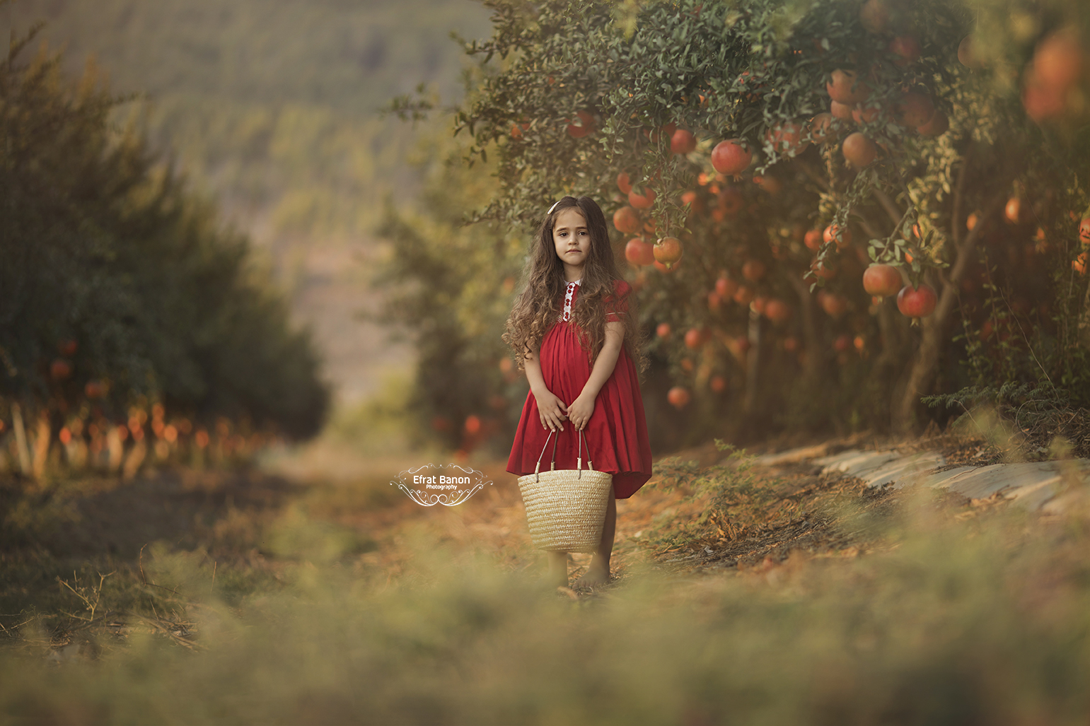 0E1A9932מ1ס14איכות נמוכהה.jpg