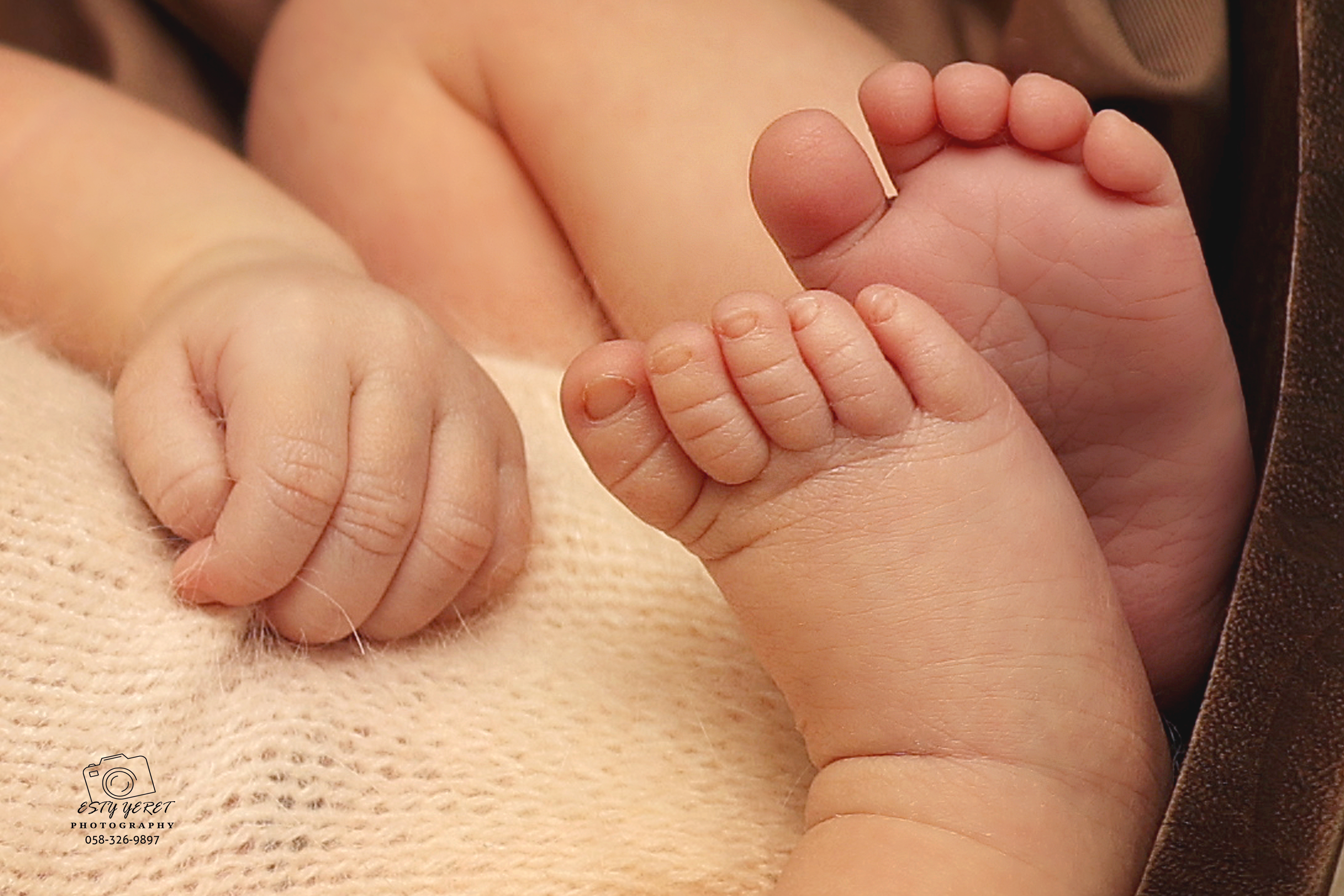 0K6A9627  1 copy.jpg