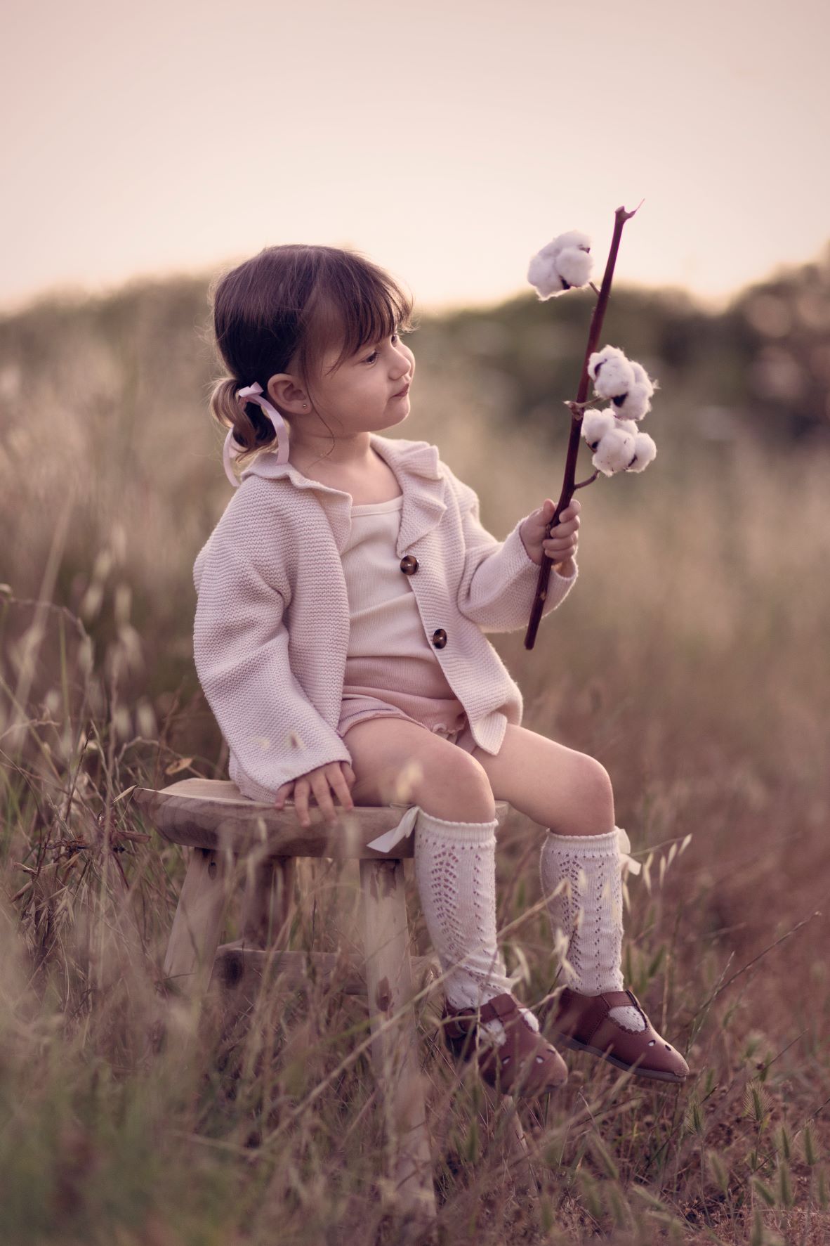 0P8A3145 copyערוך מוקטטן.jpg