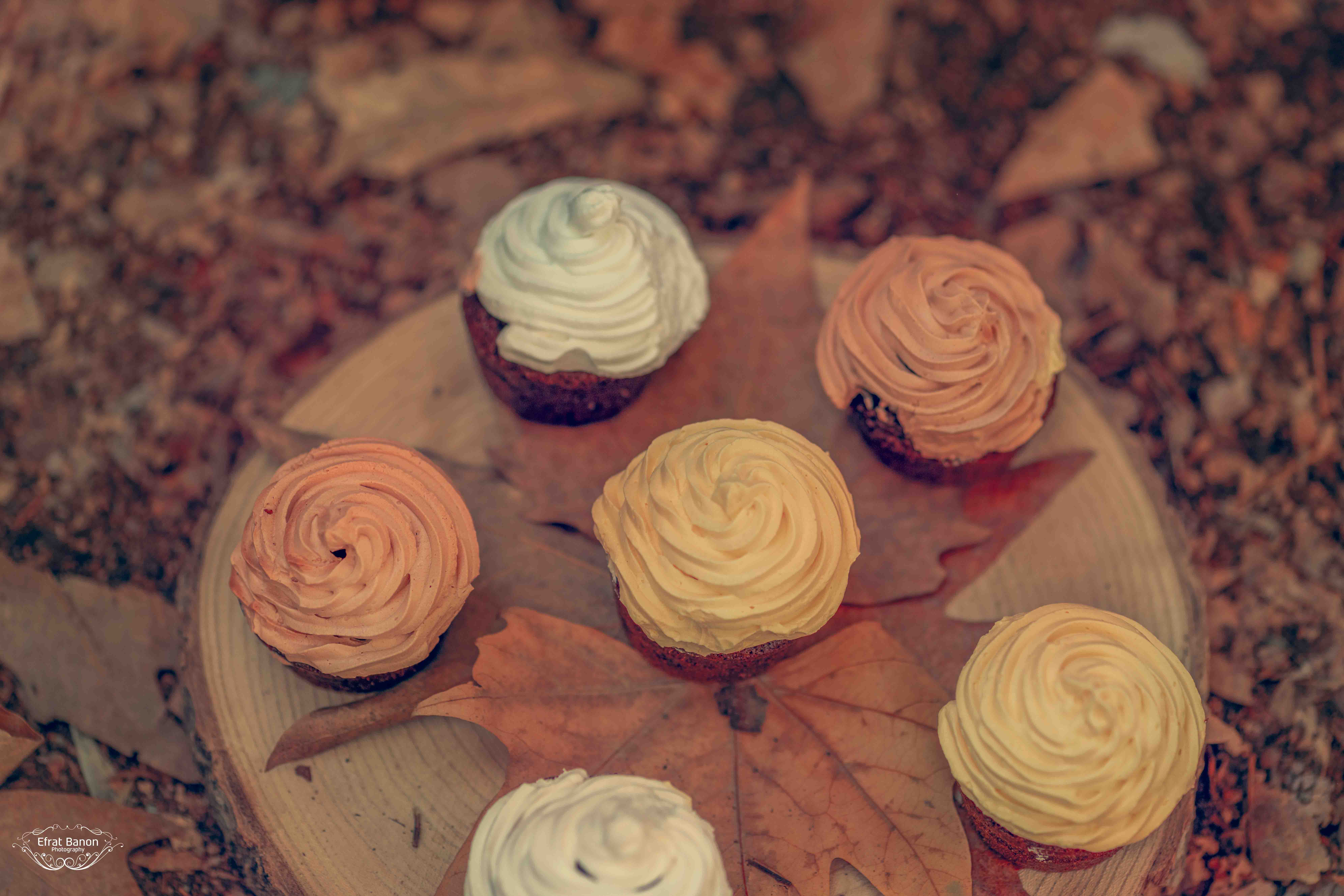 1אפרת בנון.jpg