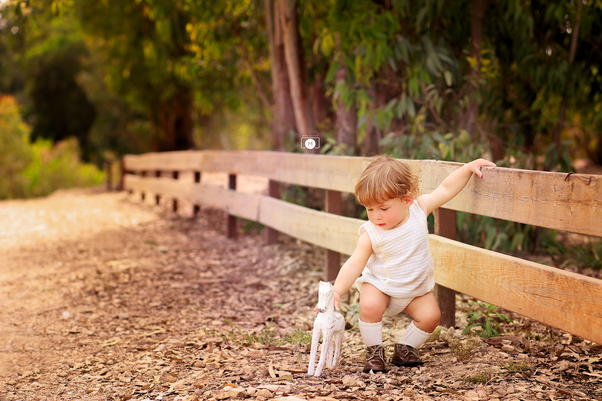 1מירי דייטש.jpg