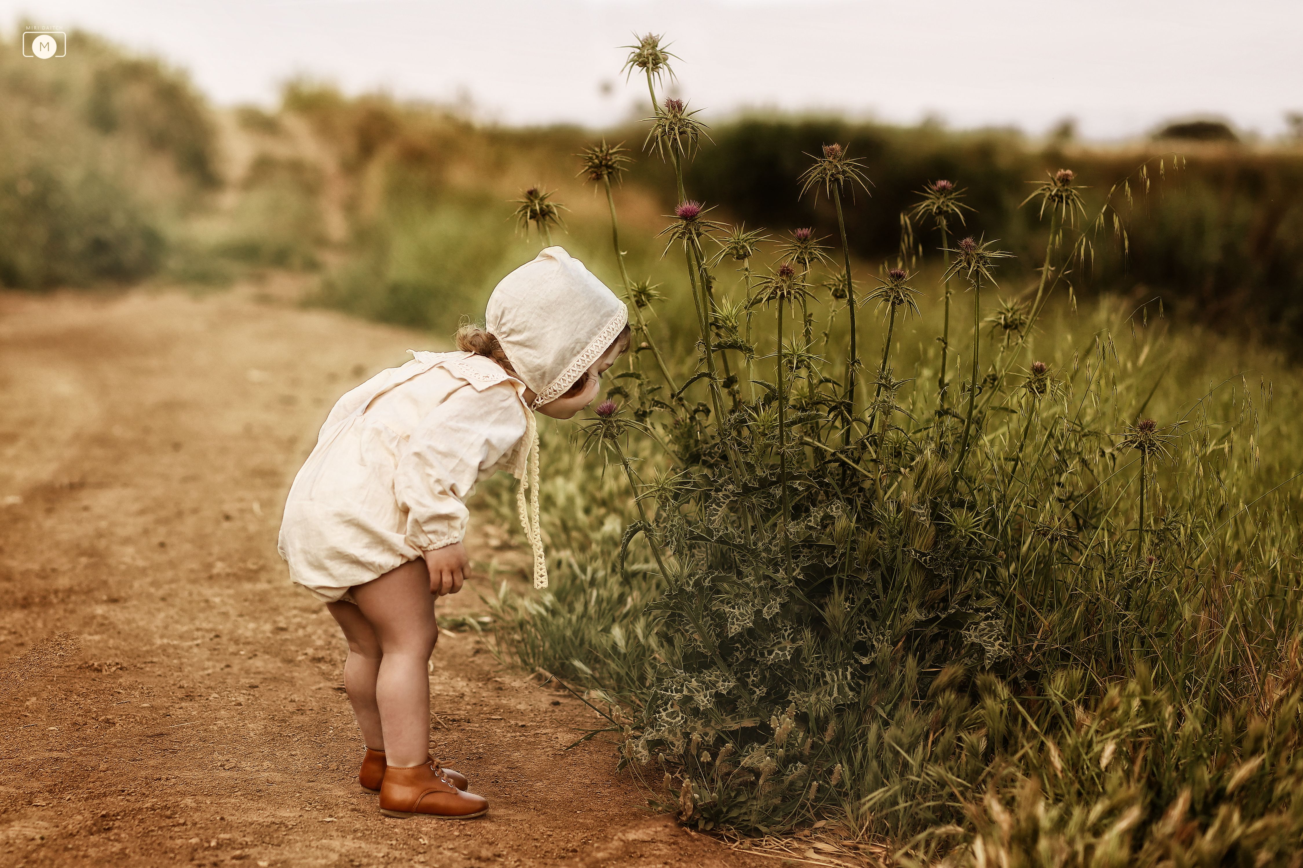 1מירי דייטש.jpg