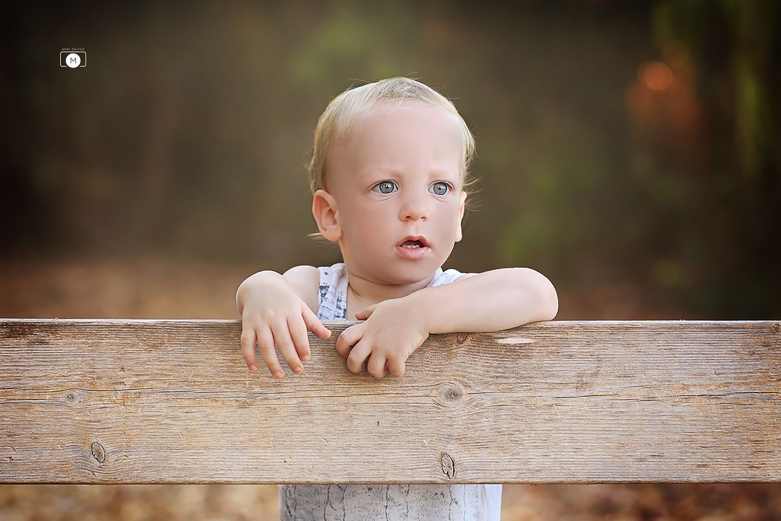 1מירי דייטש.jpg