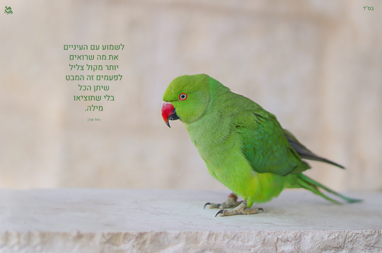 1רחל אורן.png