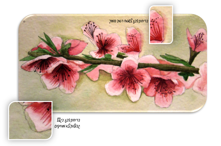 1שטח רטוב.PNG