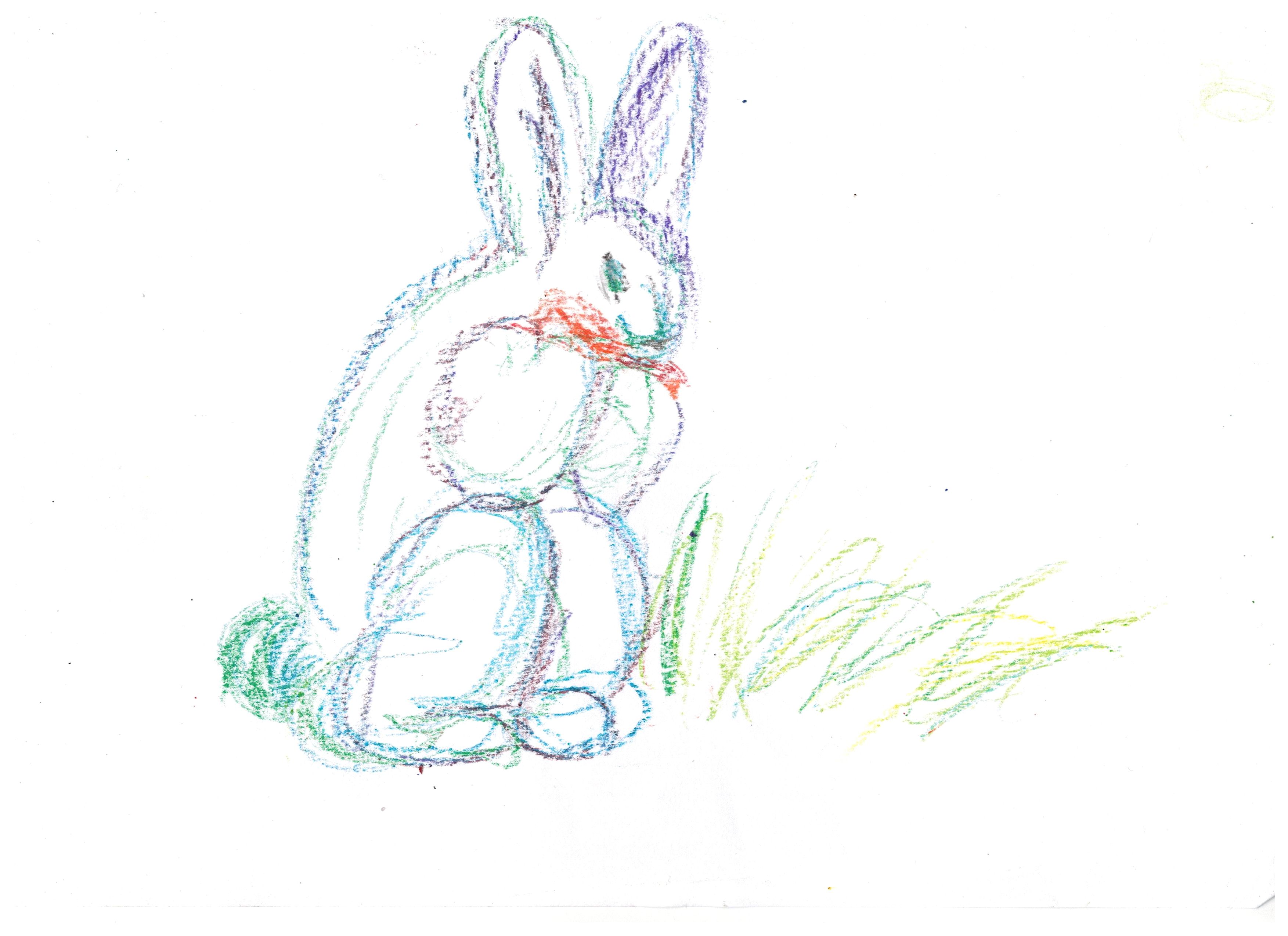 1 מותק באני.jpeg