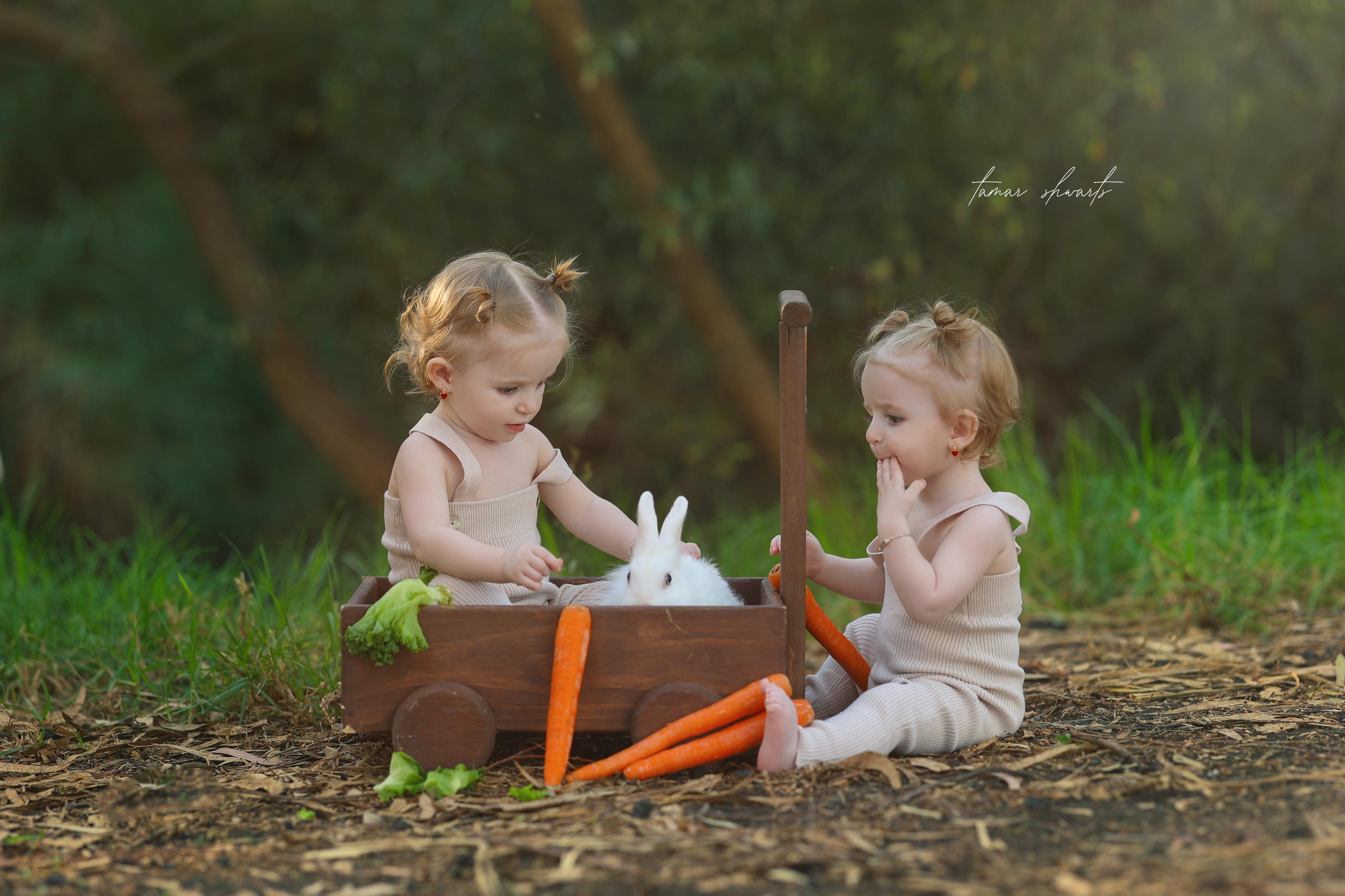 1.עוד דוגמא.jpg