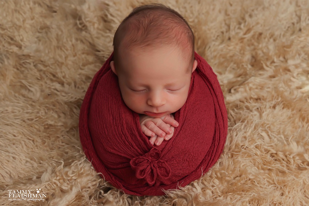 1 תמי פליישמן 0527681363.jpg