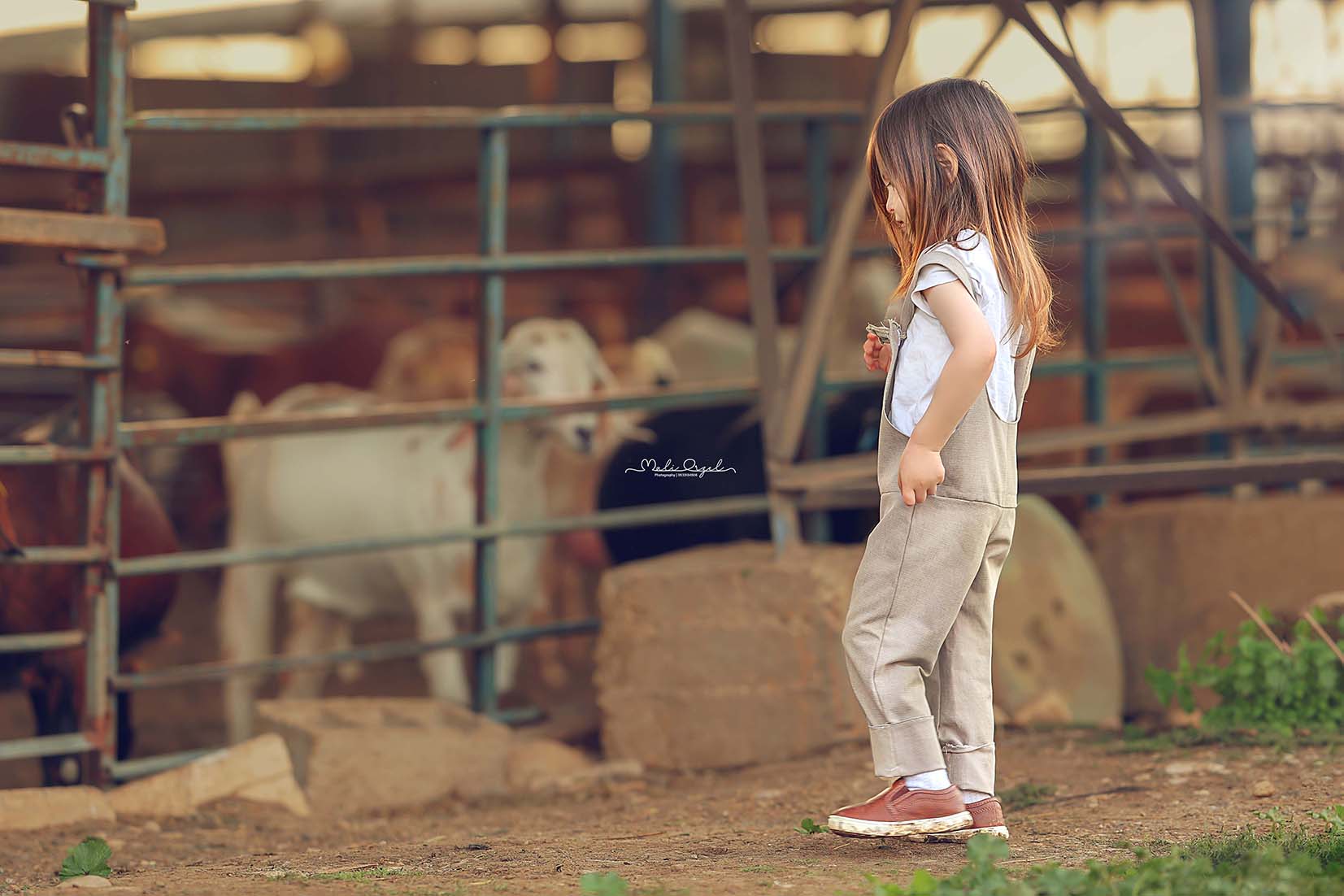 10 מוקטן פ.jpg
