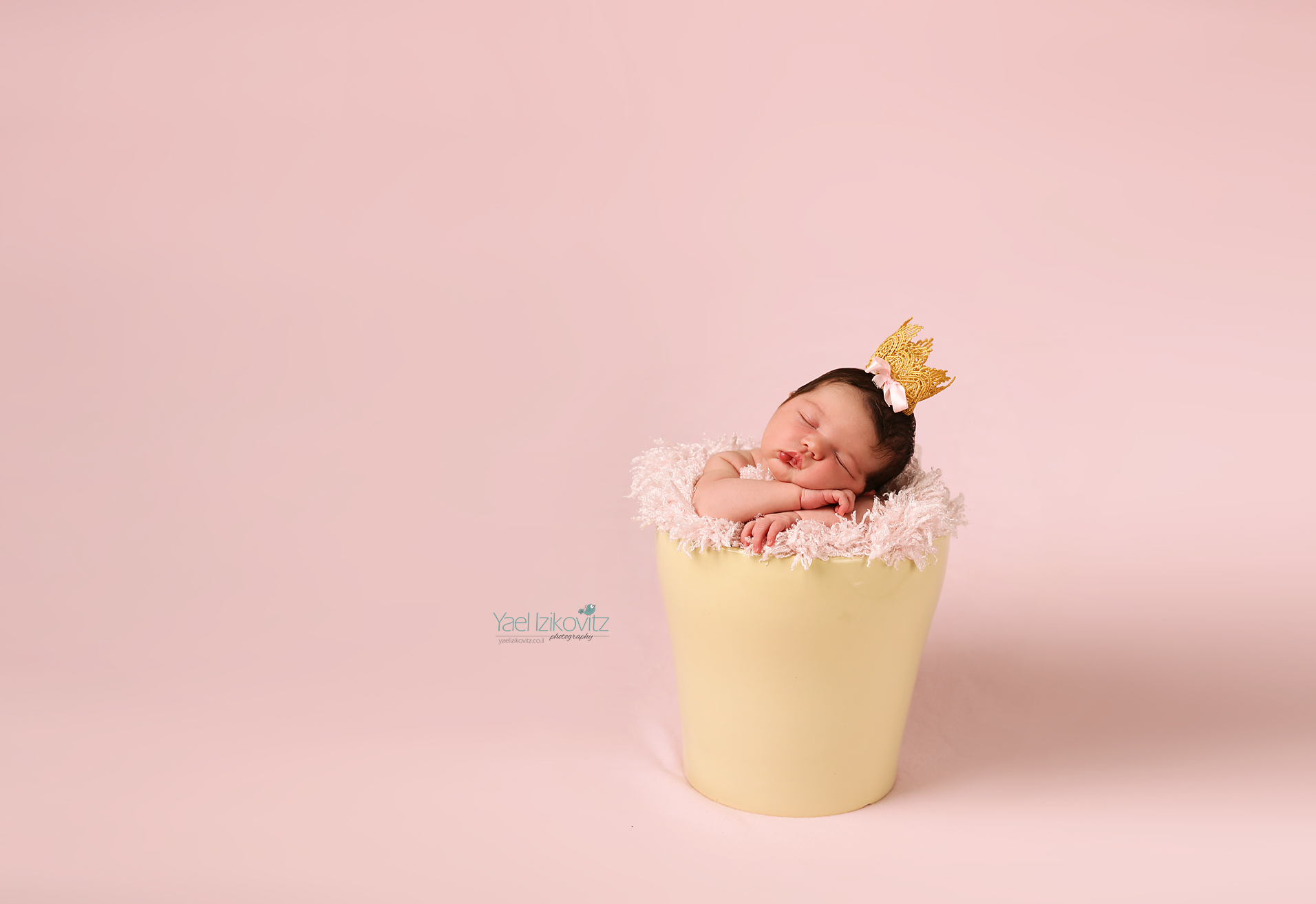 10.jpg מוקטן.jpg