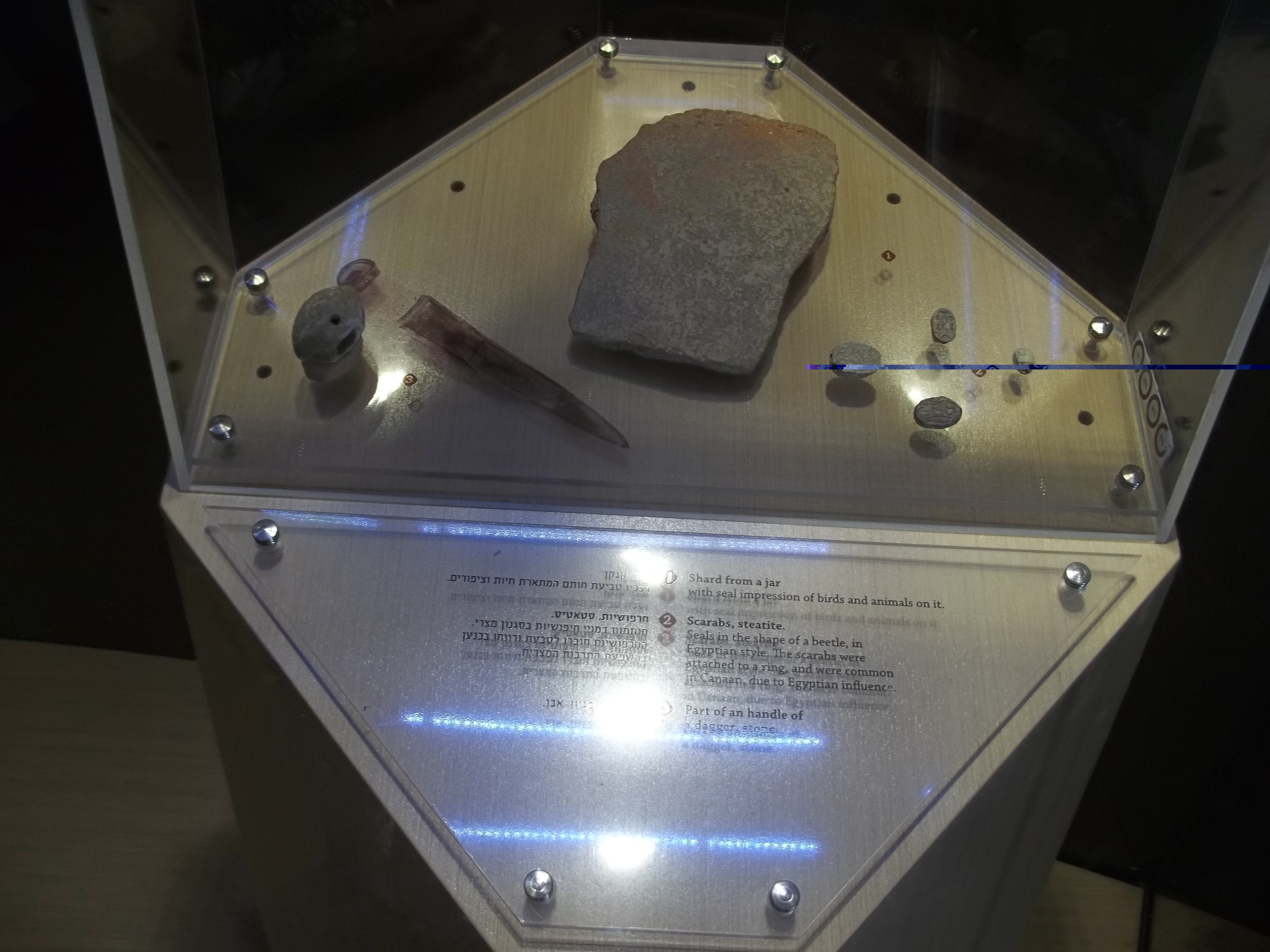 100_4770.JPG