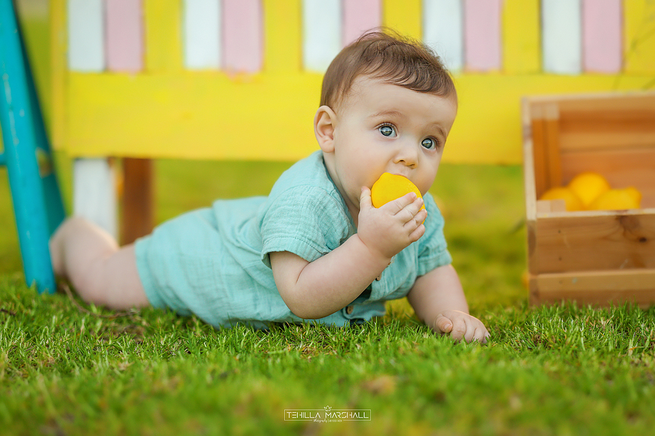 114A0394 העתק-RecoveredS.jpg