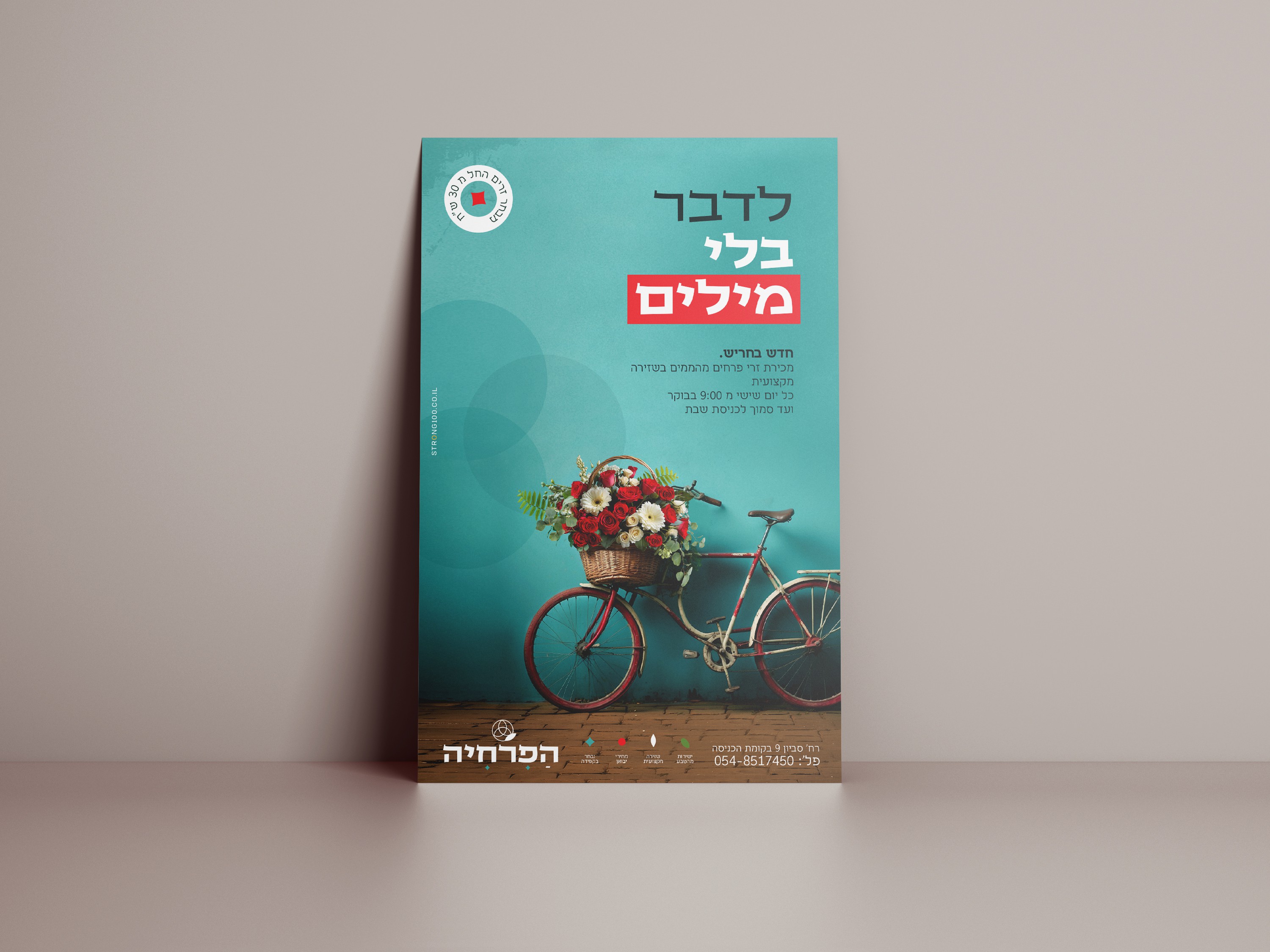 12 [גודל מקורי].jpg