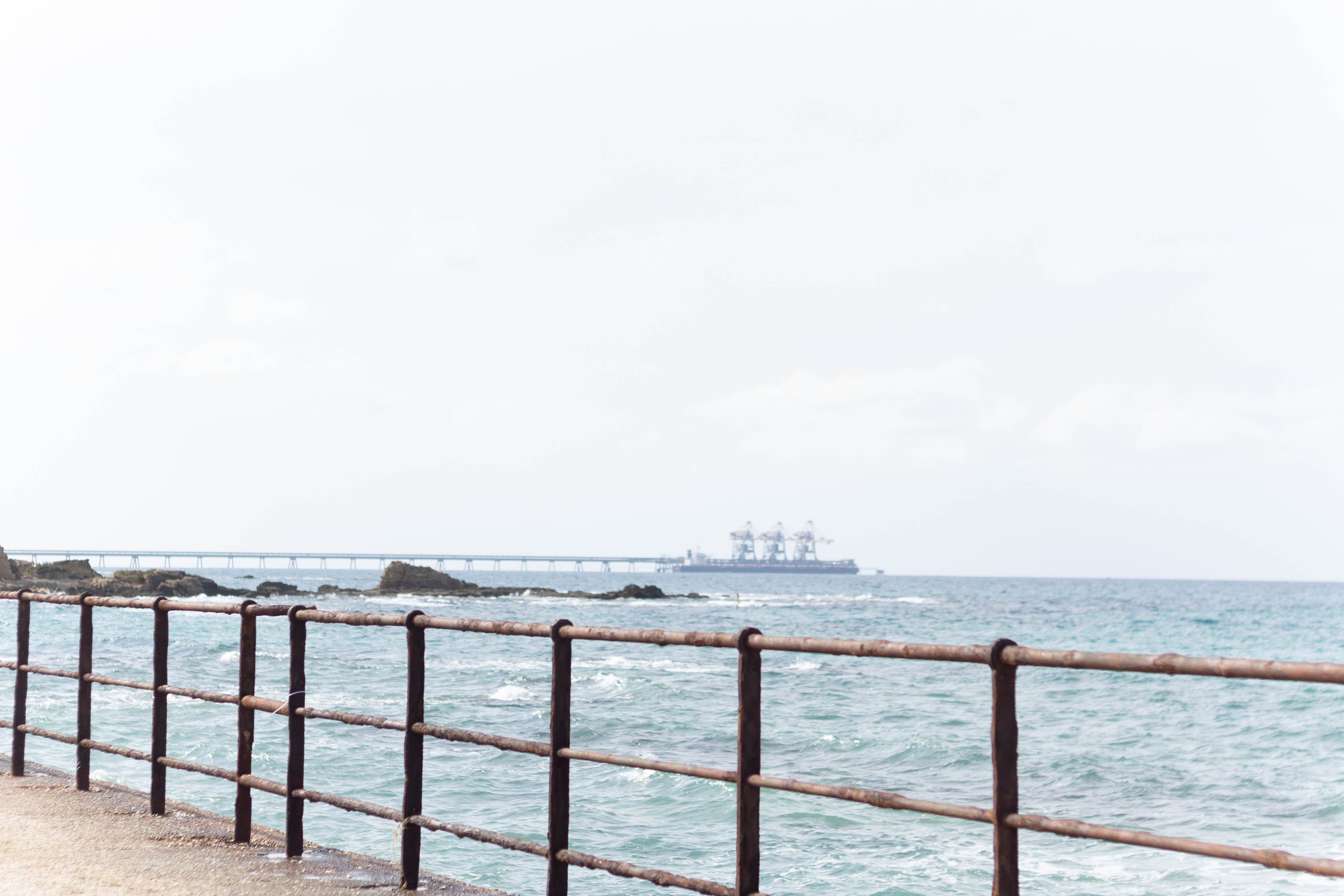 14שירה אהרוני צילום מקצועי.jpg