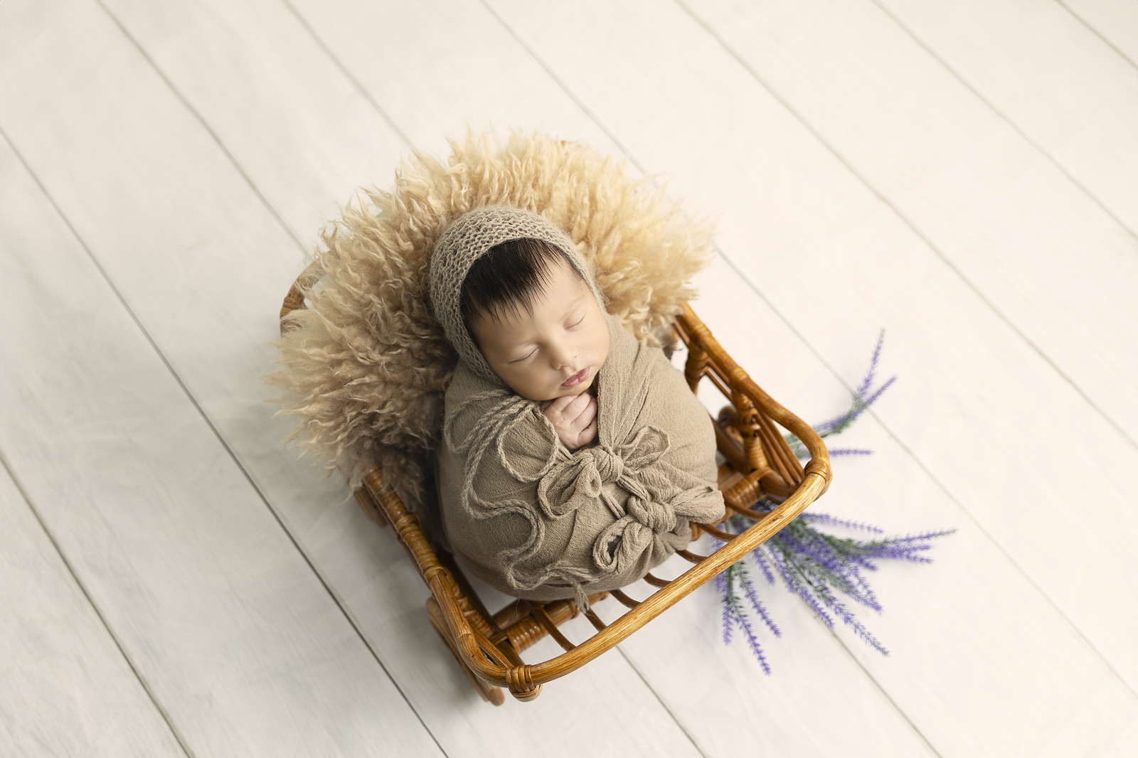 141A0517 copy_1600x1066.jpg