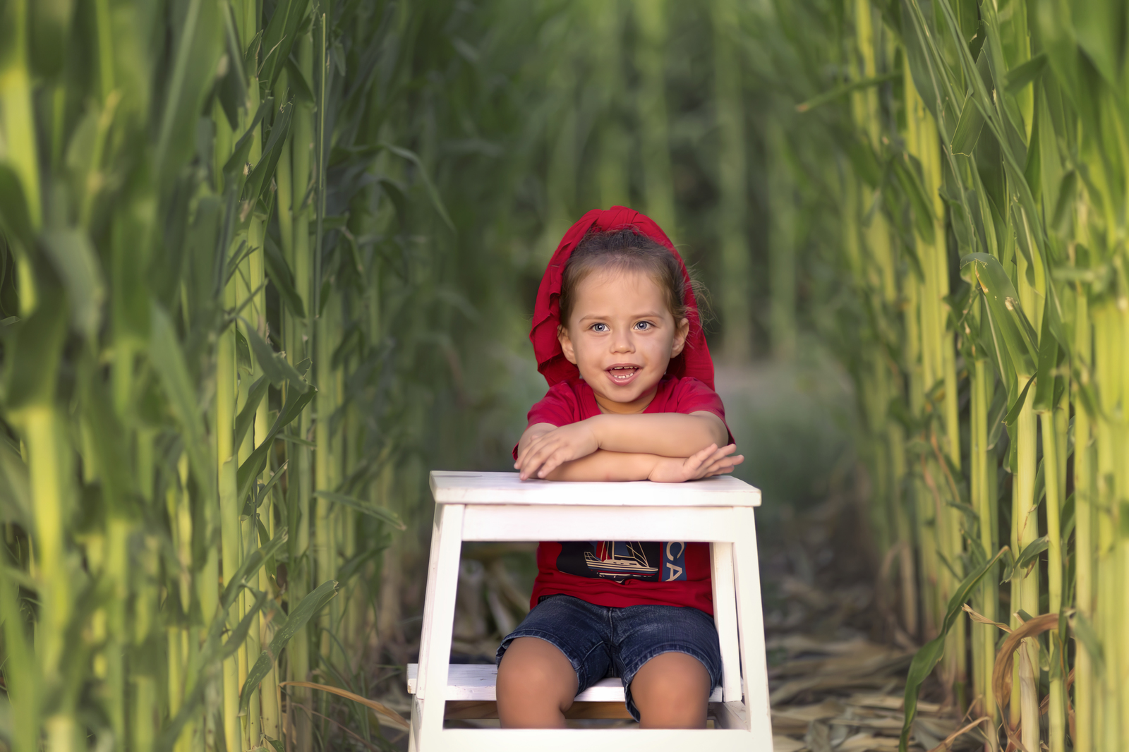 141A3664-Enhanced-NR copy_1600x1066.jpg