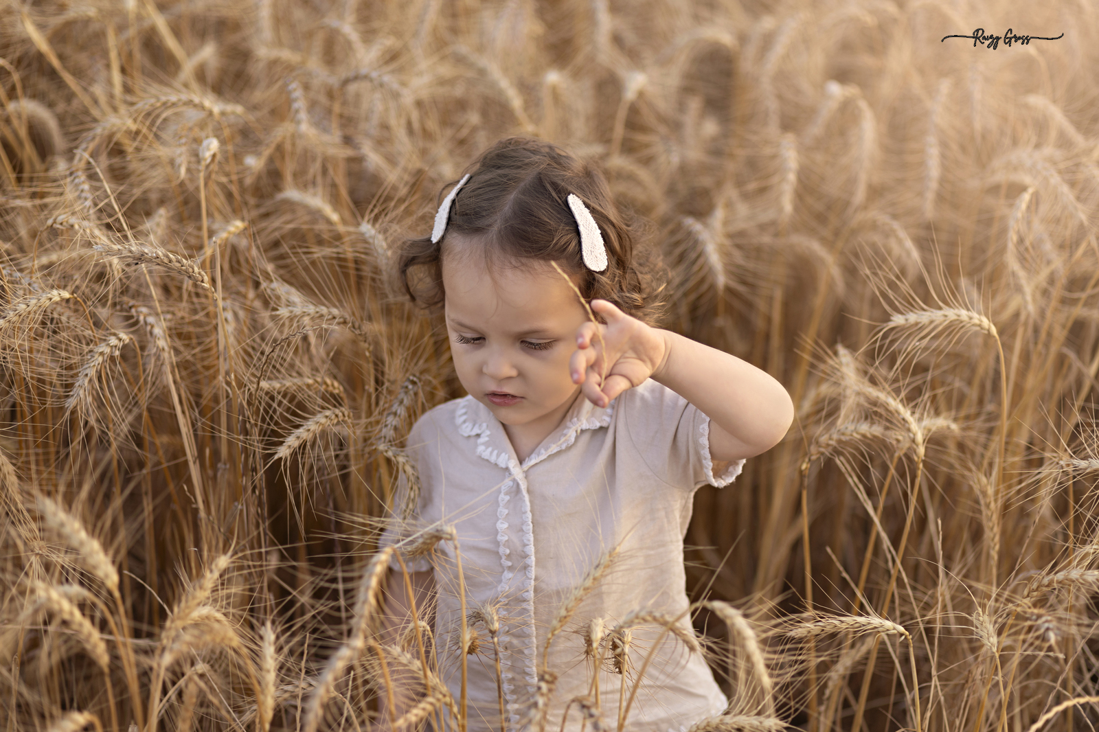 141A6936 copy_1600x1066 copy.jpg