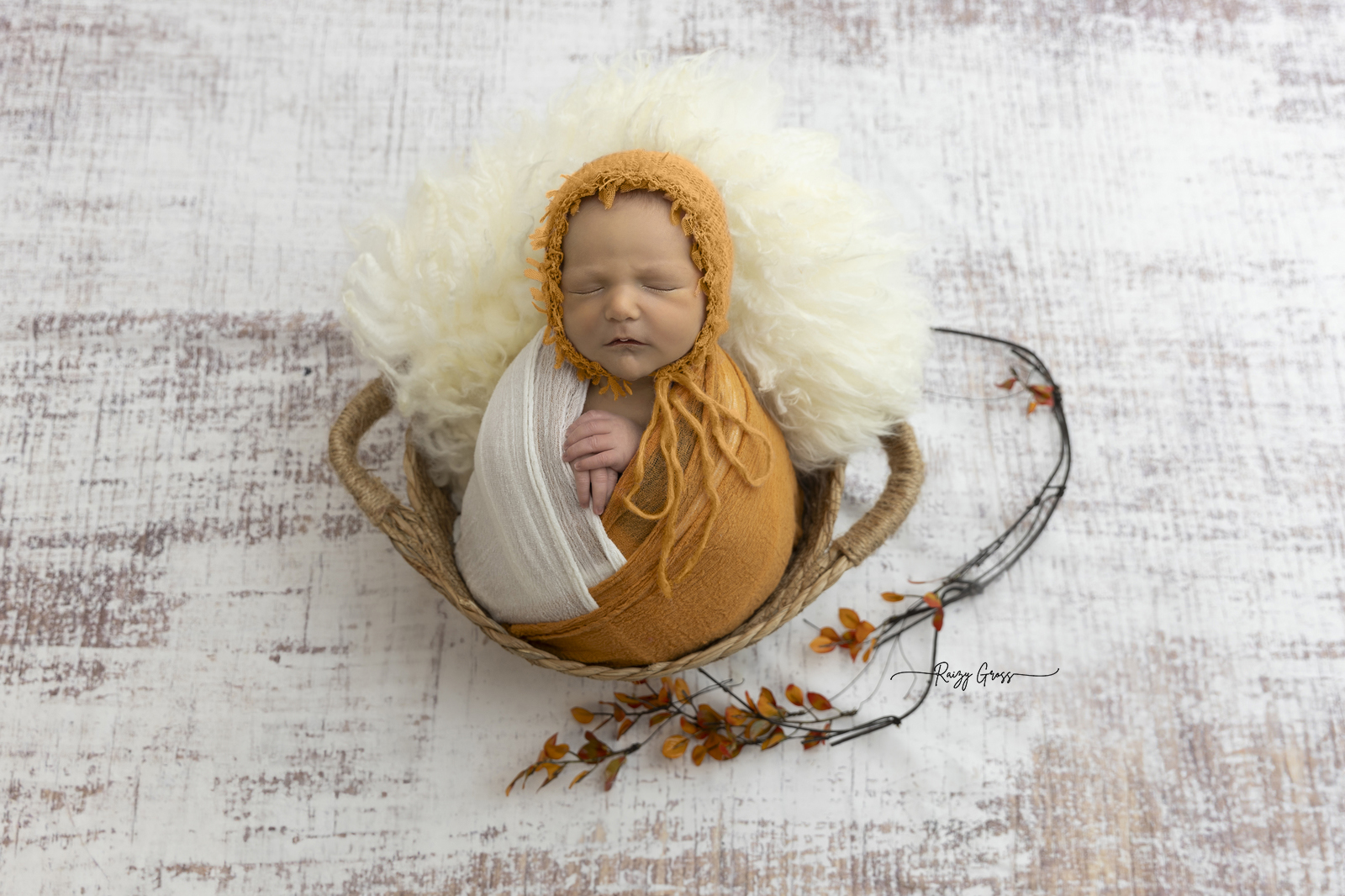 141A7164 copy_1600x1066.jpg