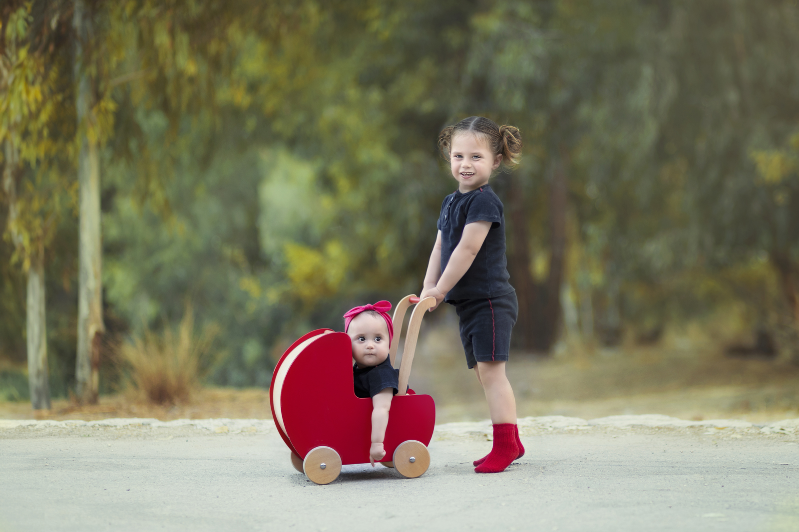 141A9483 השתלה ליבי copy_1600x1066.jpg