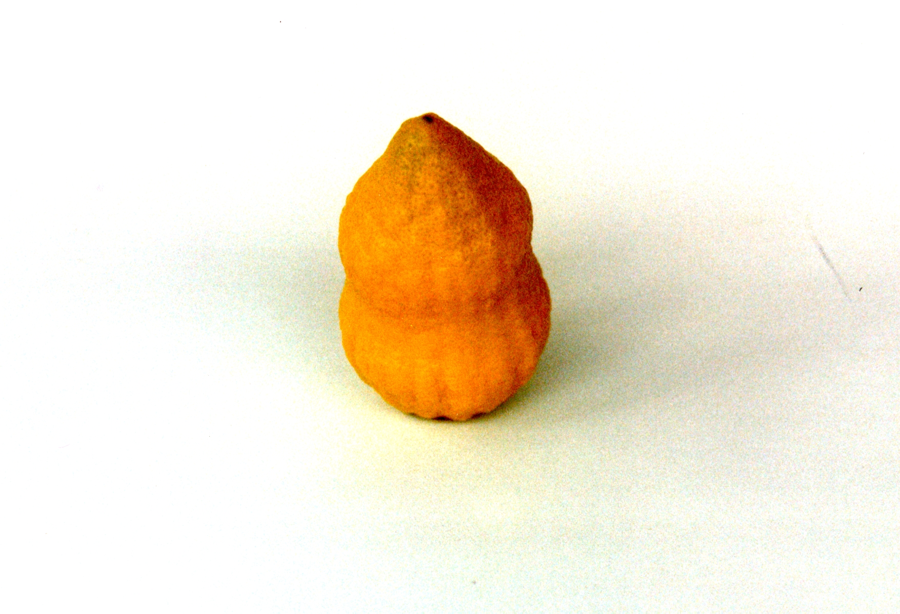 142.jpg