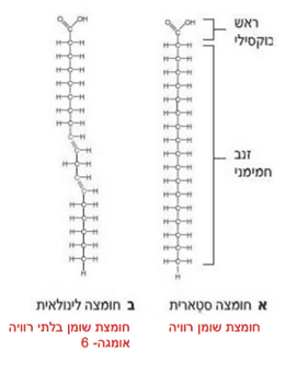 1596970440075.png