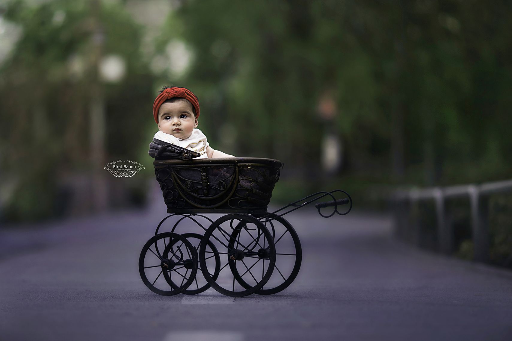 16מוארל2מוקטן לעלות.jpg