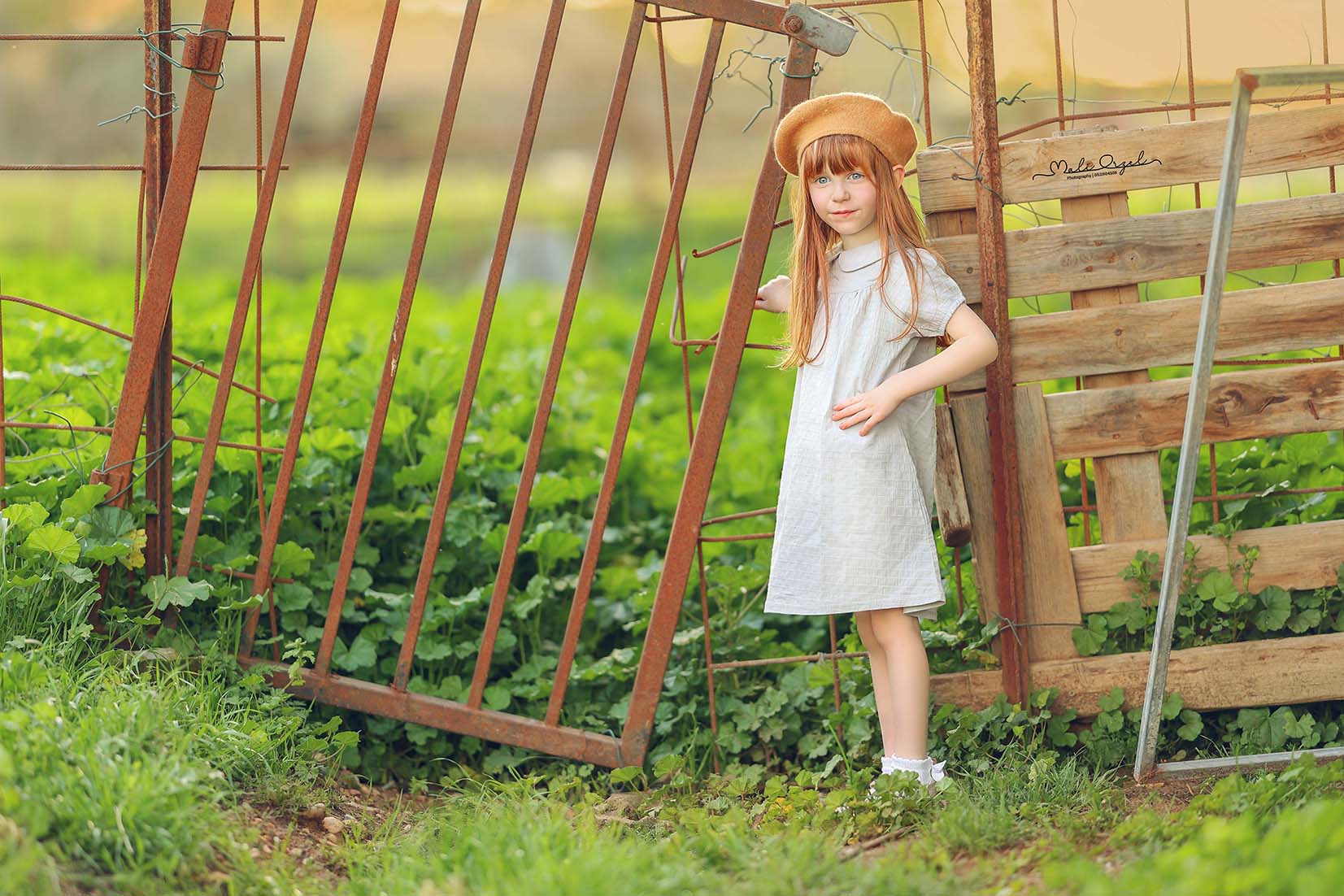 16 מוקטן פ.jpg