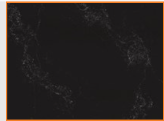 1607937653061.png