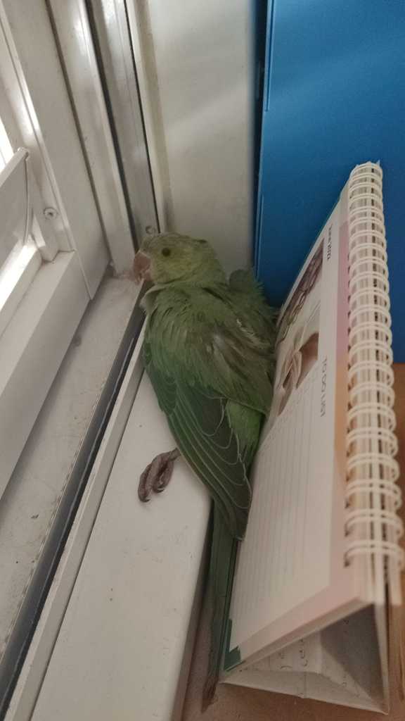 1657114021663.jpeg