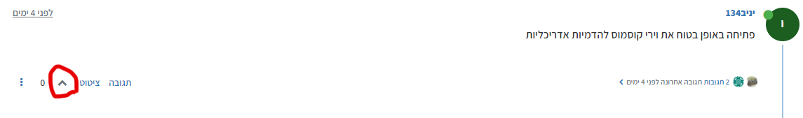 1657612451579 העתק.jpg