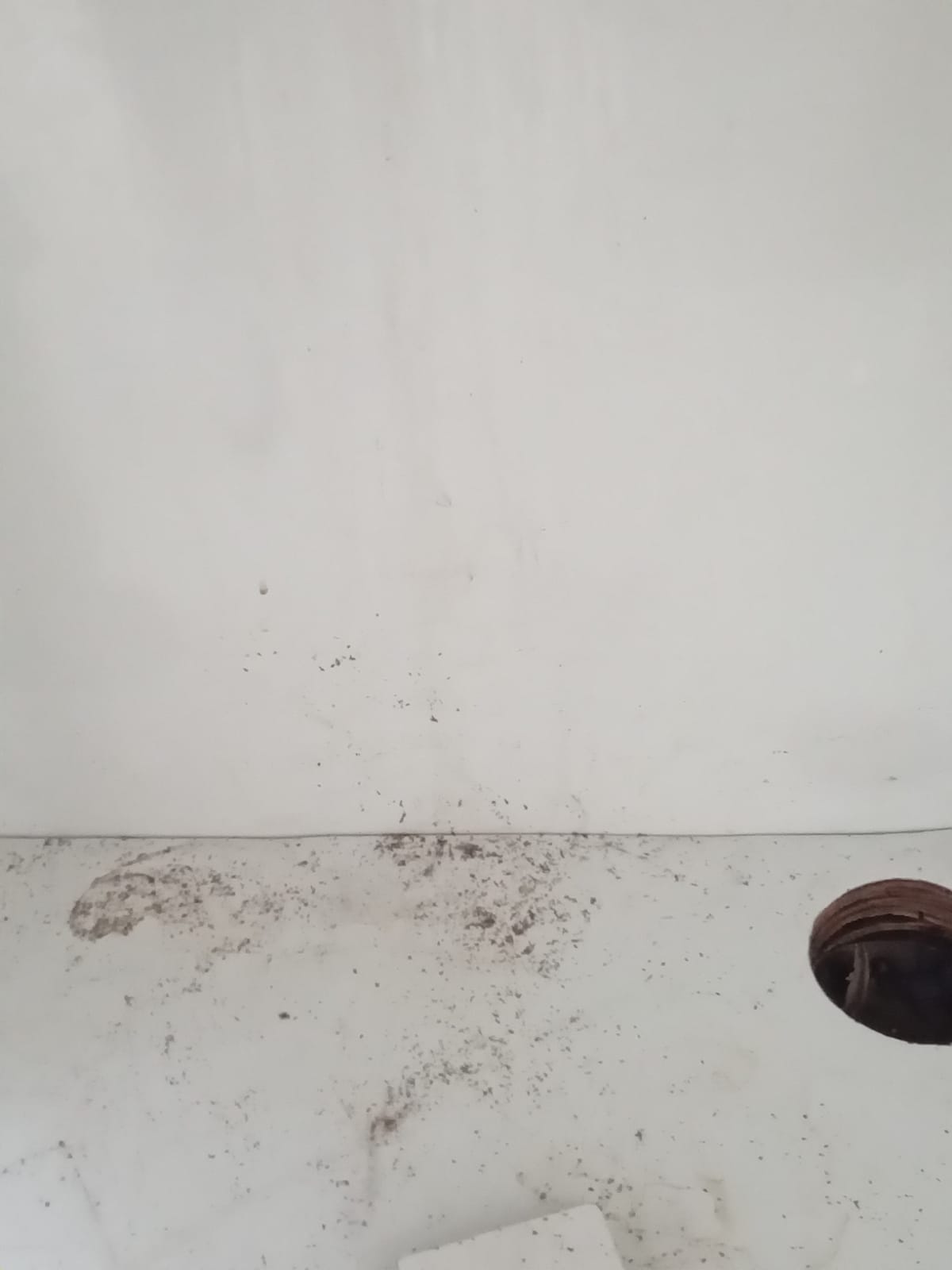 1713087840023.jpeg