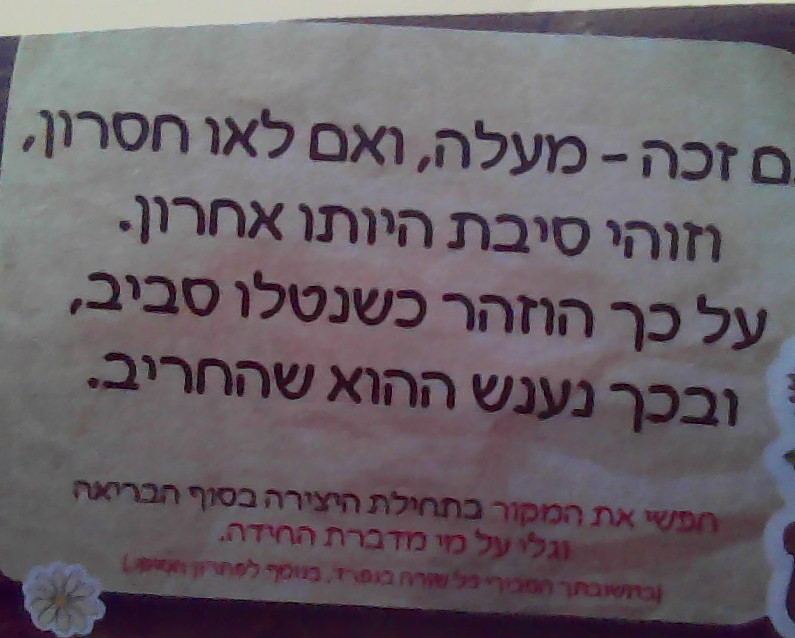 1763588298627 (1).jpeg