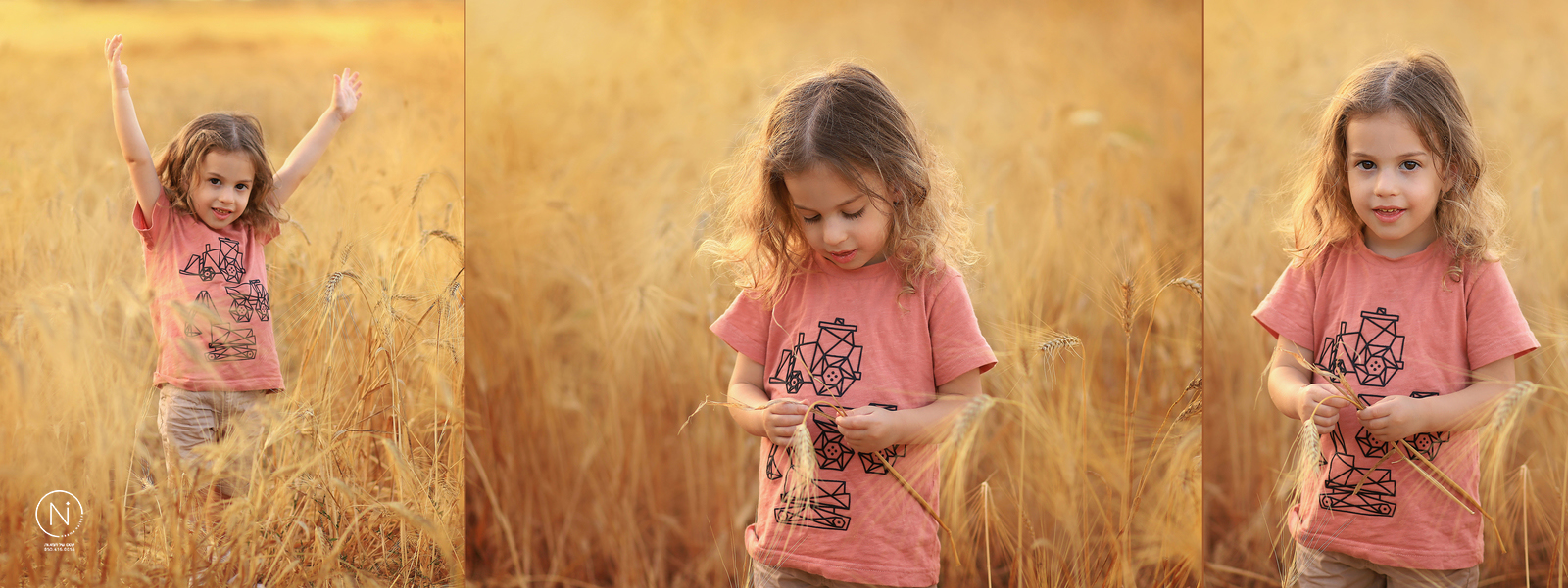 17_1600x601 copy.jpg