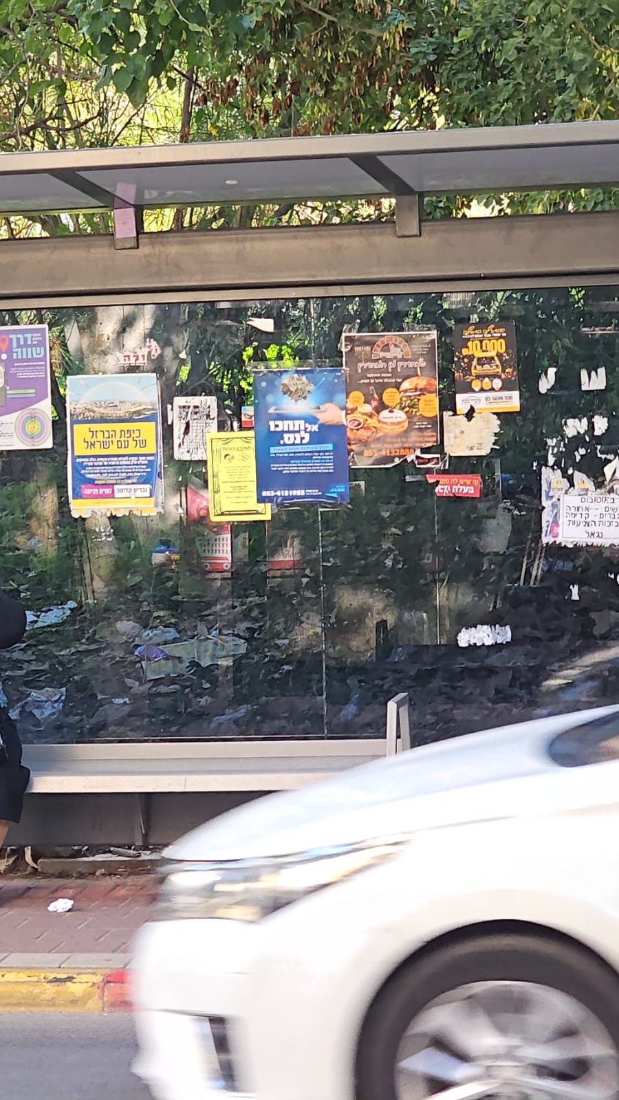 19.12.2023  פרסום פינדרלה.jpeg