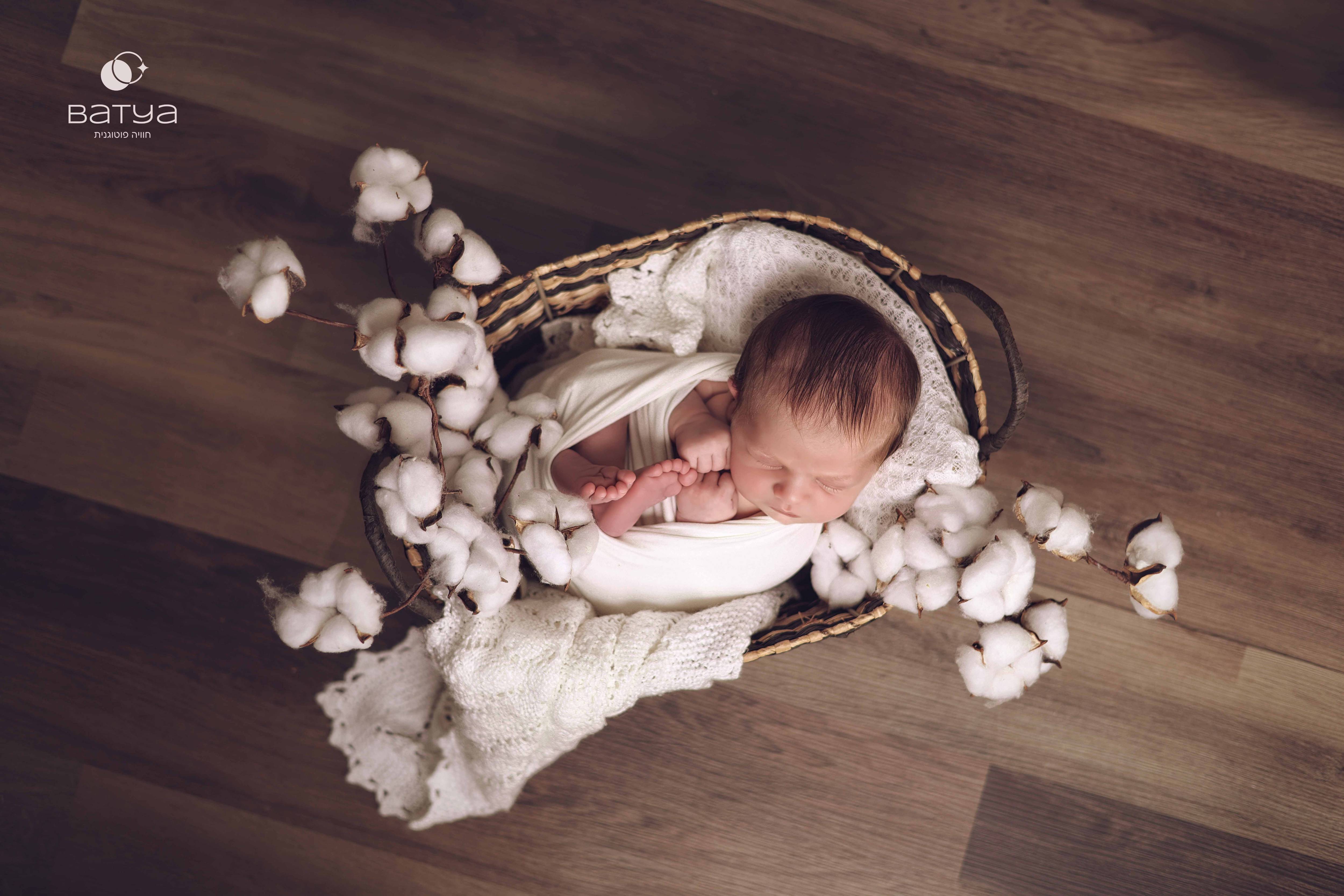 1C5A2220 copy 2 (1).jpg