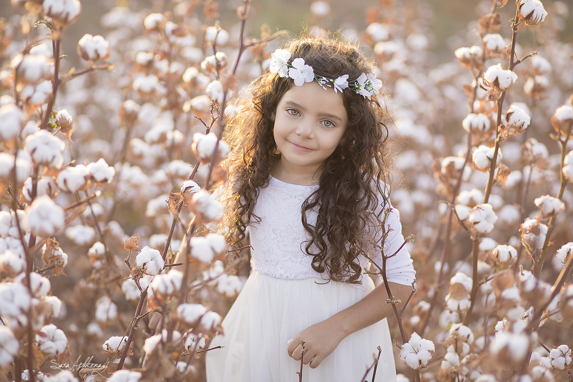 1I3A מוקטן3427ערוך.jpg