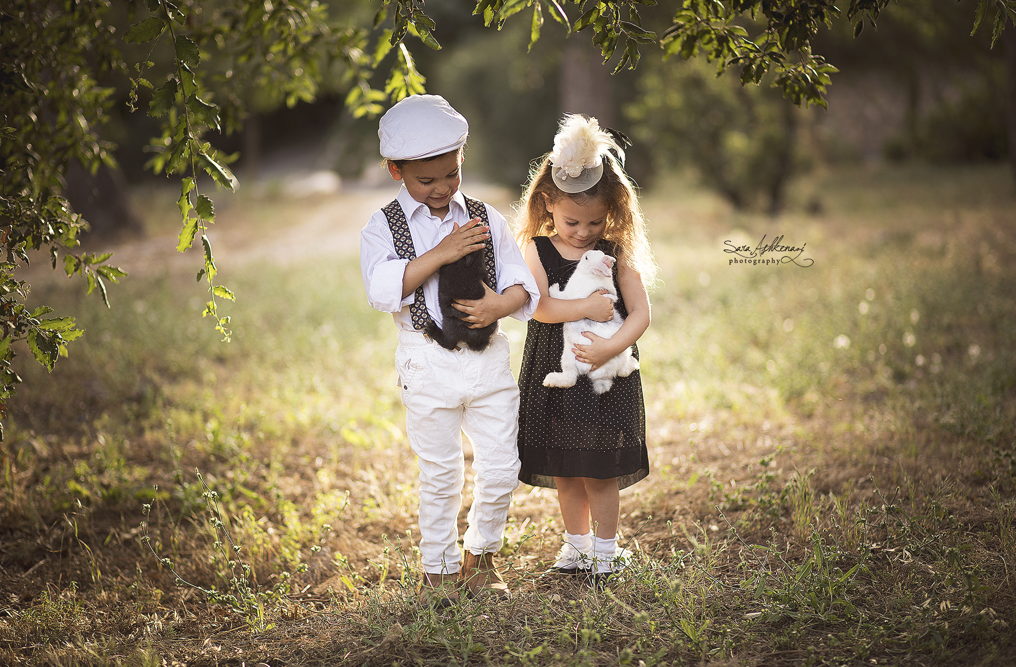 1I3A0409 ערוך.jpg