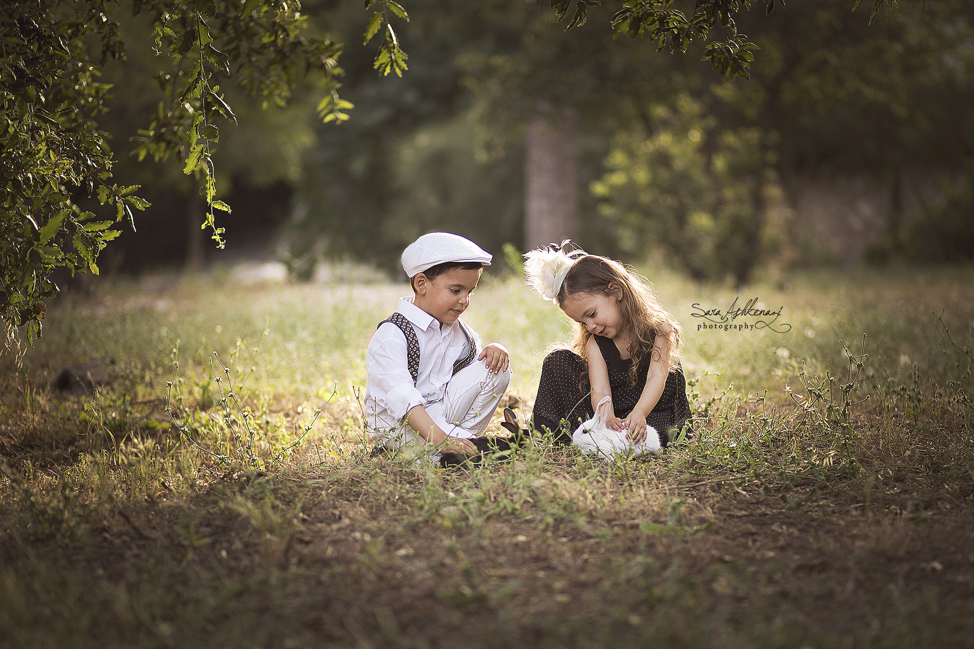 1I3A0418 מוקטן  ערוך.jpg